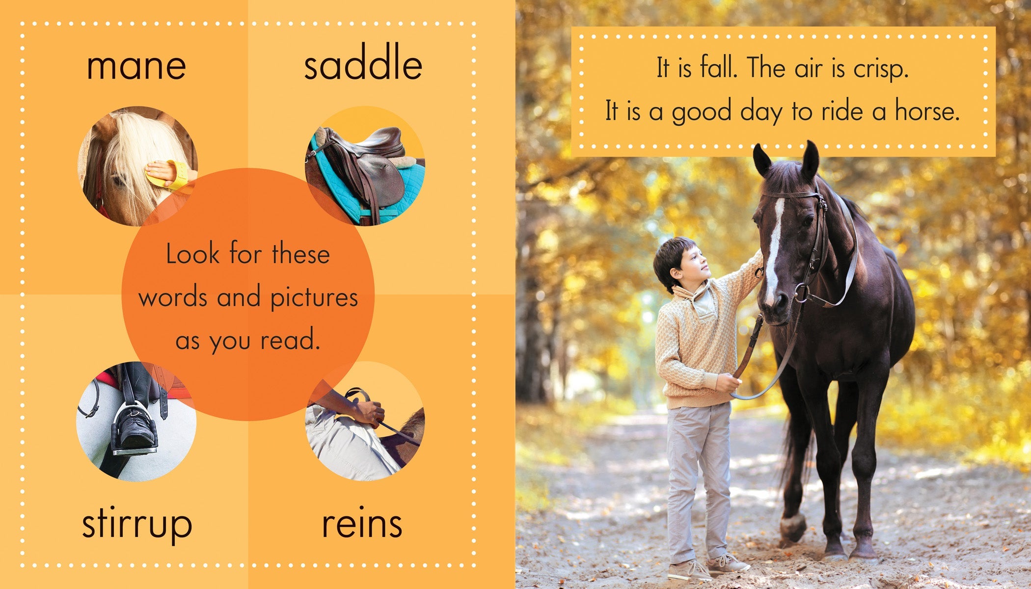 Best Horseback Riding Gear & Equipment for Equestrians - Saddles, Boots & Accessories for Trail Riding, Dressage & Show Jumping