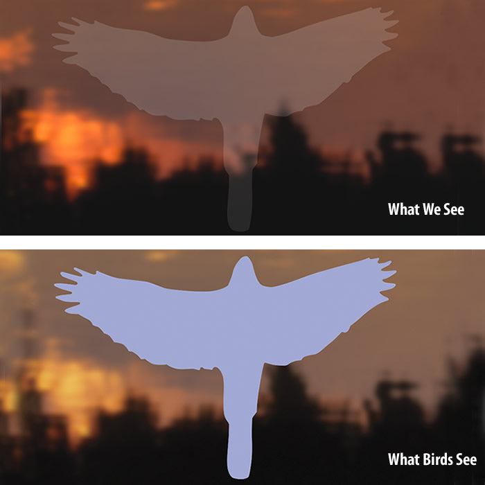 Duncraft Bird Safe® Hawk Window Decals - Prevent Bird Strikes | UV-Resistant Window Clings for Home & Office | Ideal for Large Windows, Glass Doors & Skylights