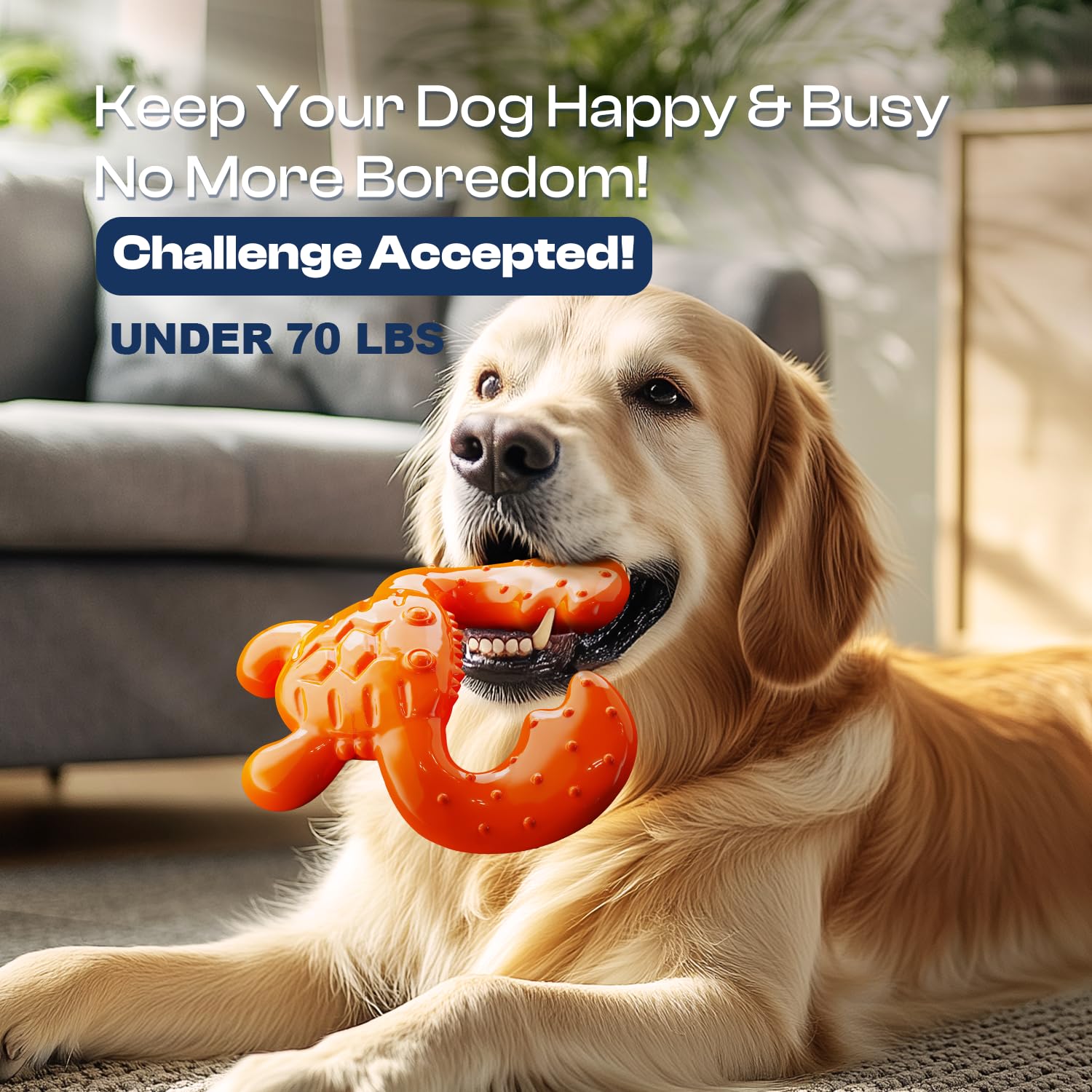 Durable Nylon Dog Chew Toy for Anxiety Relief & Dental Health – Bacon Flavor Tough Chew Bone for Aggressive Chewers, Promotes Stress Relief & Teeth Cleaning – Best for Large Breed Dogs (Perfect for Teething Puppies, Boredom Relief & Crate Training)