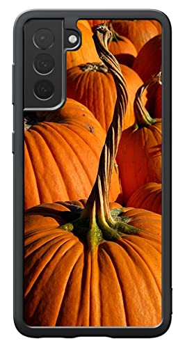 For S22 Plus (6.6in)