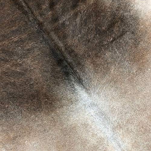 Premium 5x5 ft Gray Beige Cowhide Rug - Natural Cow Hair on Leather - Large Cow Skin Rug for Living Room, Bedroom & Office Decor