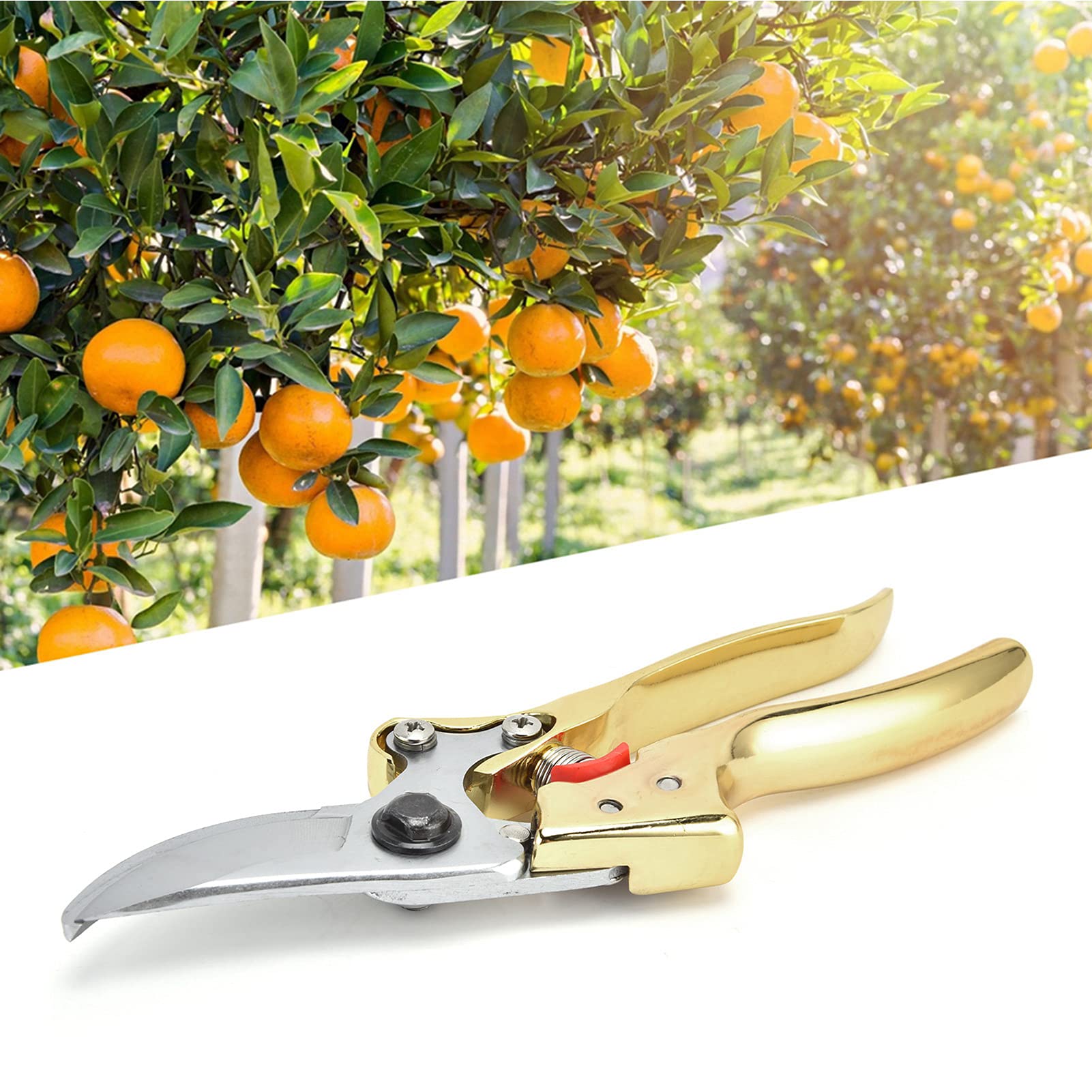 Premium Garden Pruners - Sharp Bypass Pruning Shears for Trees, Plants & Flowers - Ergonomic Gardening Shears for Effortless Branch Trimming (Ideal for Fruit Trees, Rose Bushes & Landscaping)