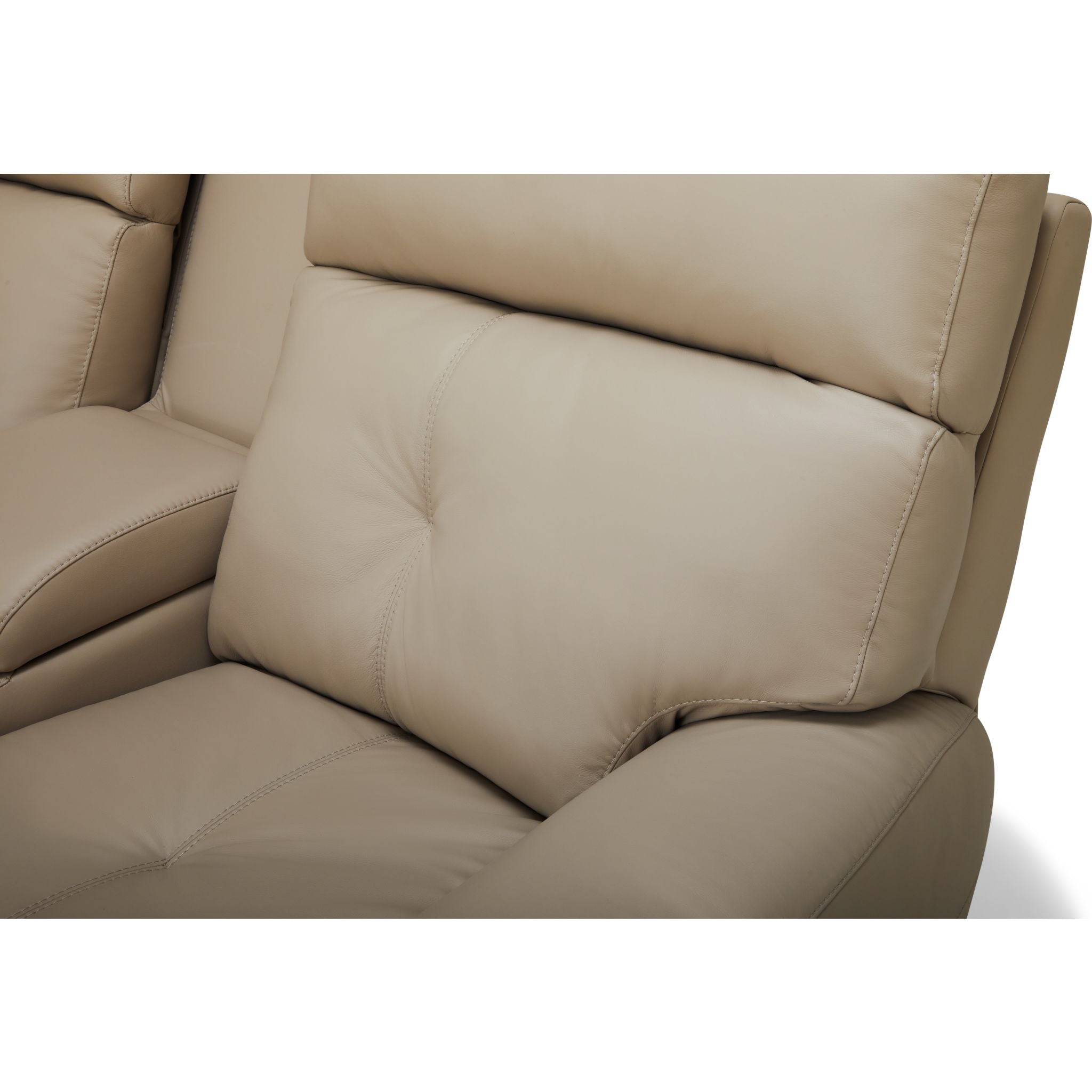 Aedon Power Reclining Loveseat with Adjustable Headrest & Lumbar Support - Modern Comfort for Living Room, Home Theater & Small Spaces - Bali Harvest Collection