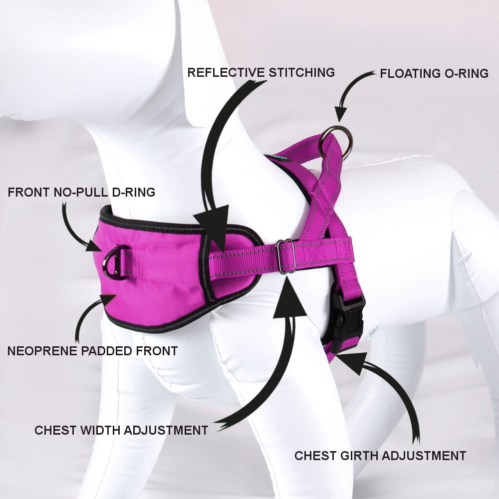 Max and Neo Reflective Dog Harness for Small Dogs - Pink Safety Vest with Passport Pocket | Donates to Dog Rescues | Perfect for Night Walks, Hiking & Travel