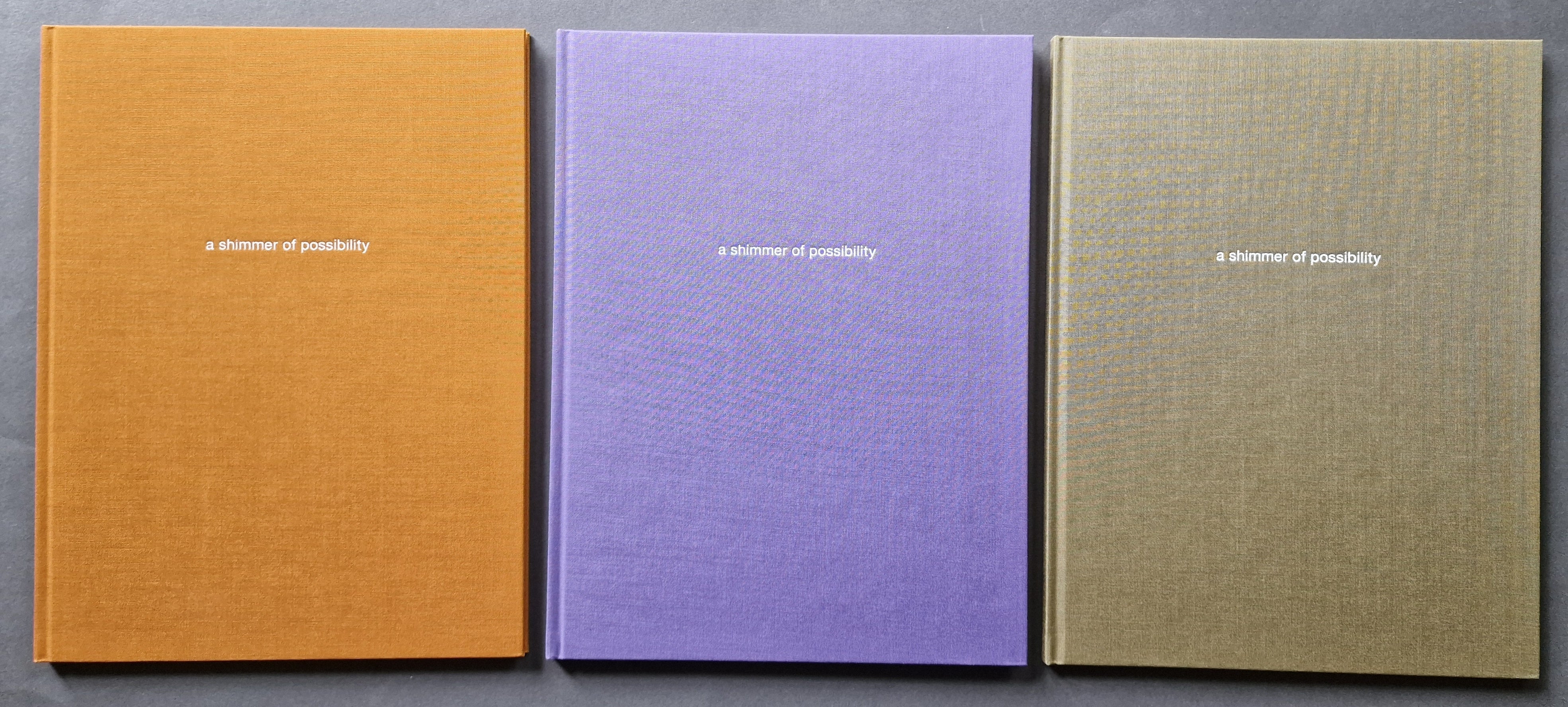 A Shimmer of Possibility (1st Edition) - Perfect for Collectors, Gift Giving & Home Decor