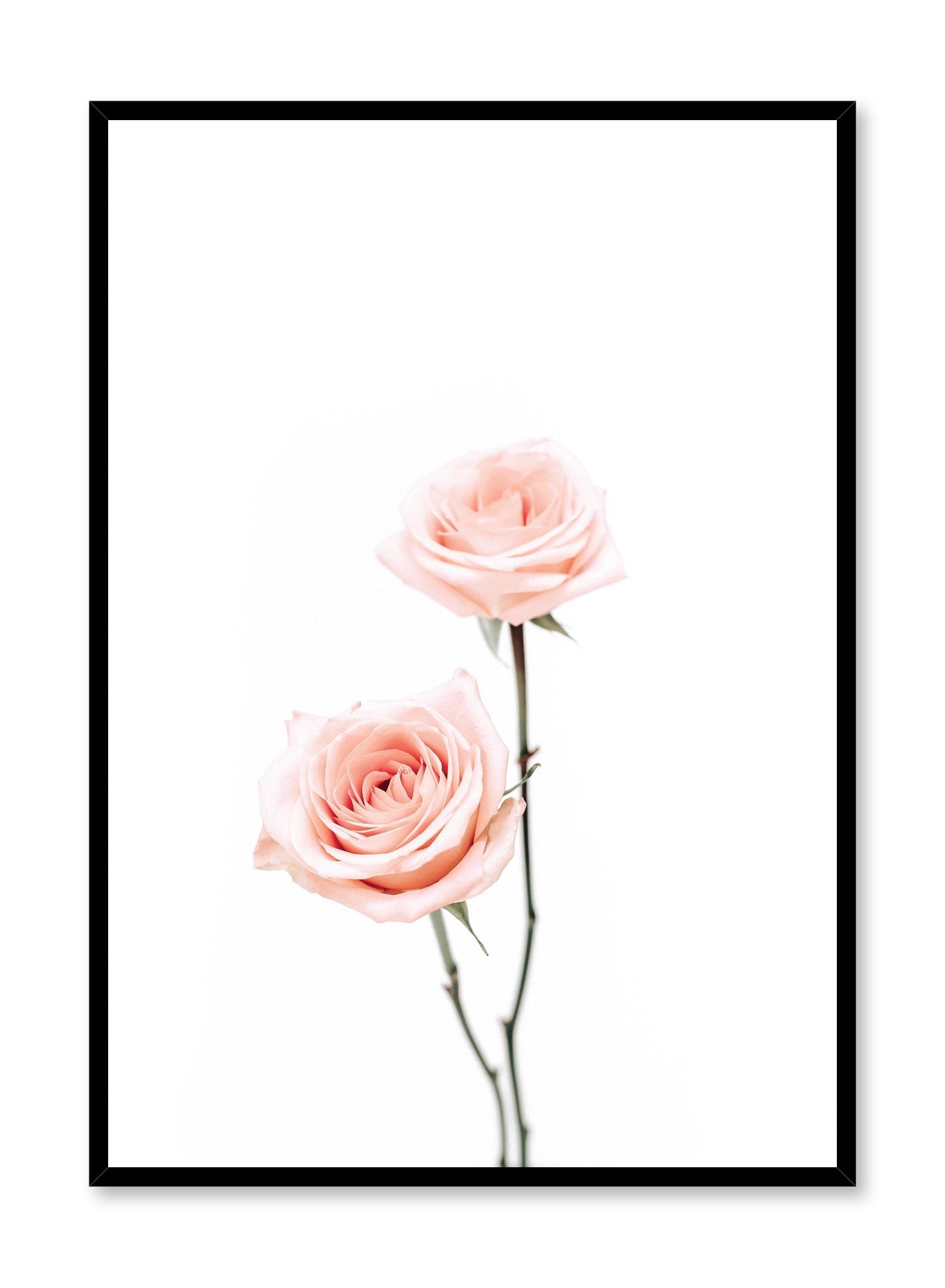 Beautiful Pink Roses Poster - Floral Wall Art Decor for Living Room, Bedroom & Office - Perfect Gift for Home & Wedding Decor