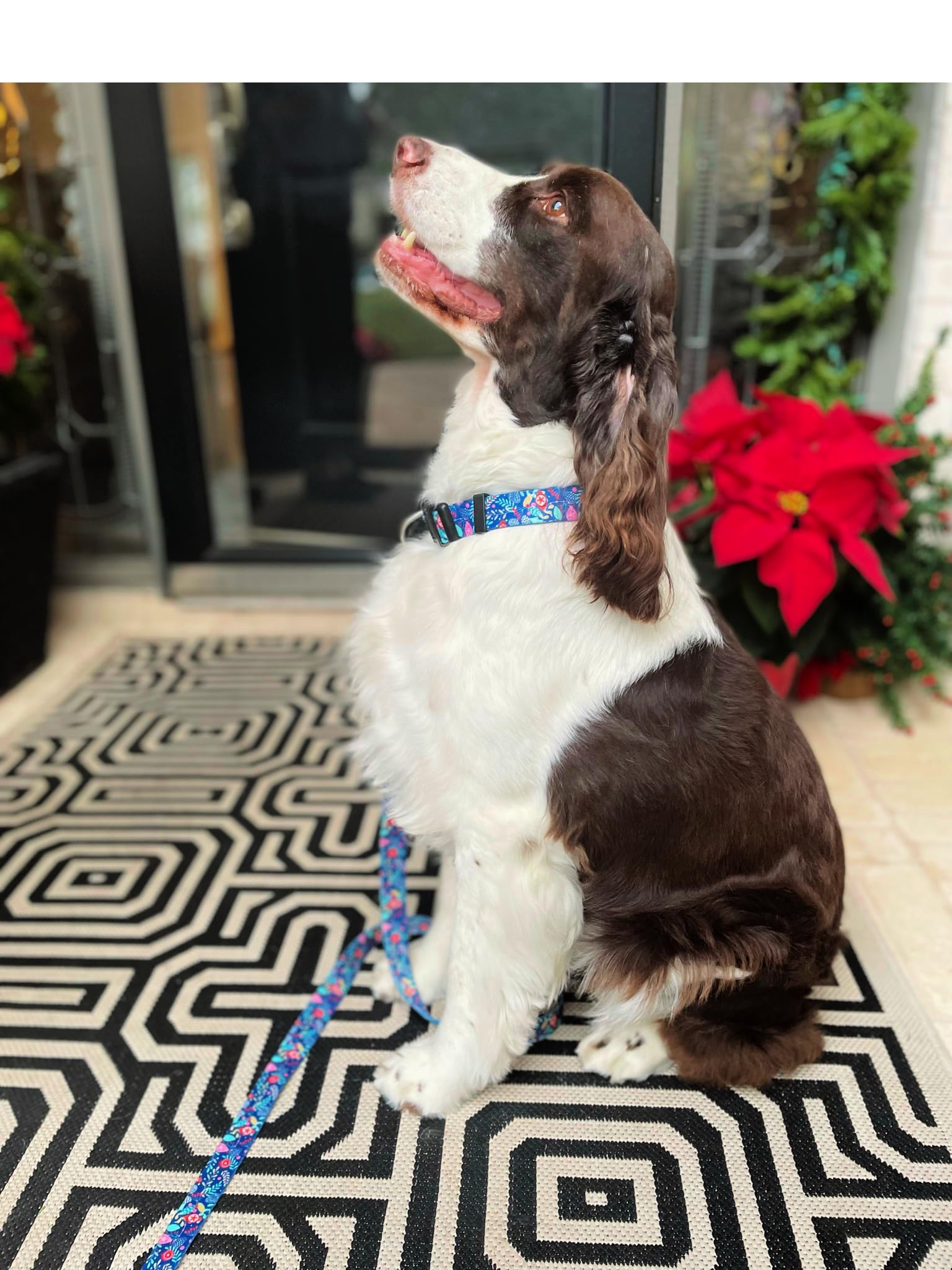 Blue Winter Pinecones Dog Collar with Lucky Love Charm - Festive Holiday Pet Accessory for Small, Medium & Large Dogs | Perfect for Christmas Photos, Winter Walks & Seasonal Celebrations