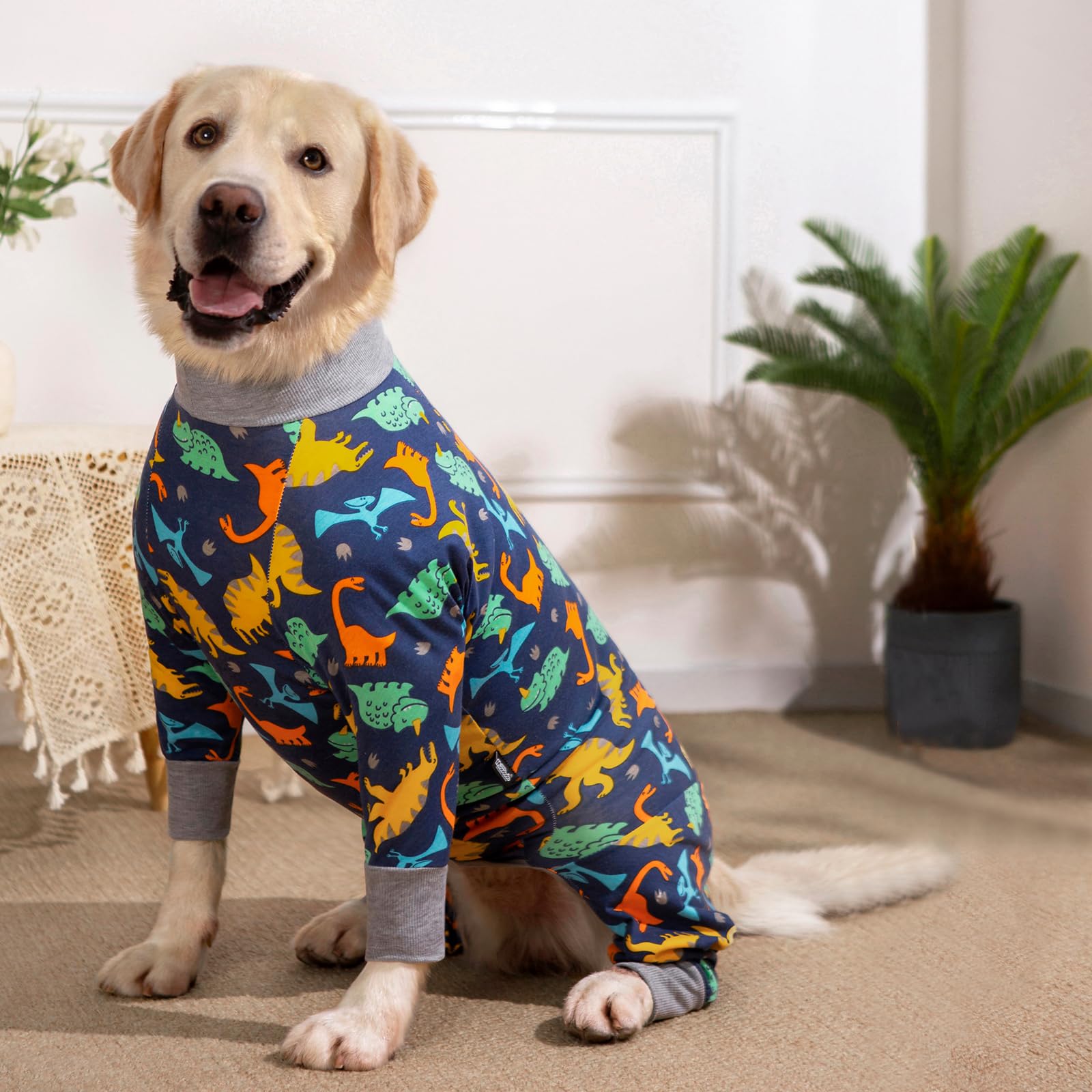 Post-Surgery Dog Recovery Suit for Large Dogs - Soft Spay/Neuter Onesie Alternative to Cone, Abdominal Wound Protector - Comfortable Pajama-Style Bodysuit for Medium & Large Dogs (Ideal for Post-Op Care, Wound Healing & Stress-Free Recovery)