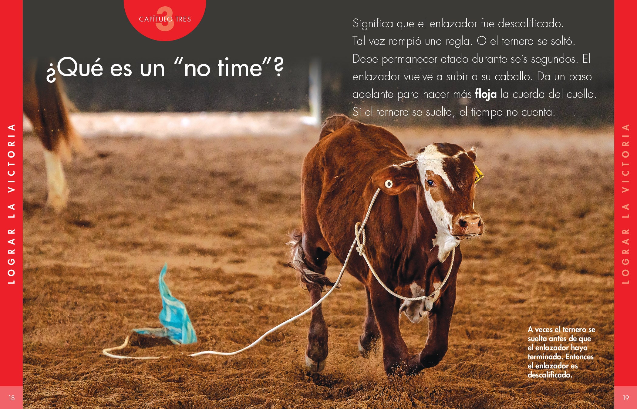 Bull Rope for Rodeo & Bull Riding - Durable & High-Quality Bull Tying Rope for Ranch, Rodeo Events, and Livestock Handling