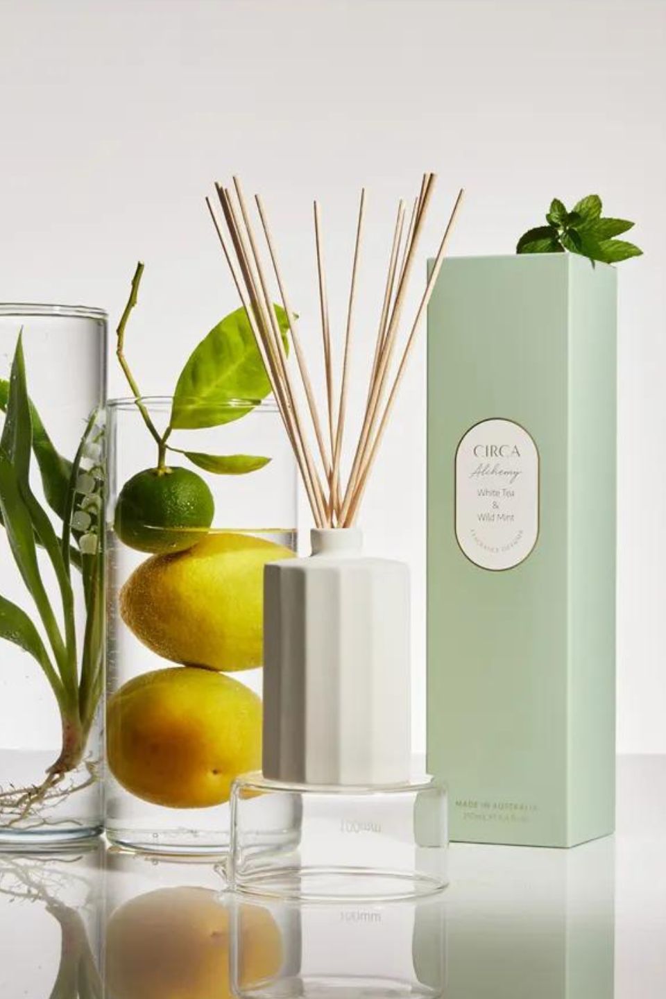 Alchemy White Tea & Wild Mint Essential Oil Diffuser 250ml - Aromatherapy for Relaxation & Stress Relief at Home or Office