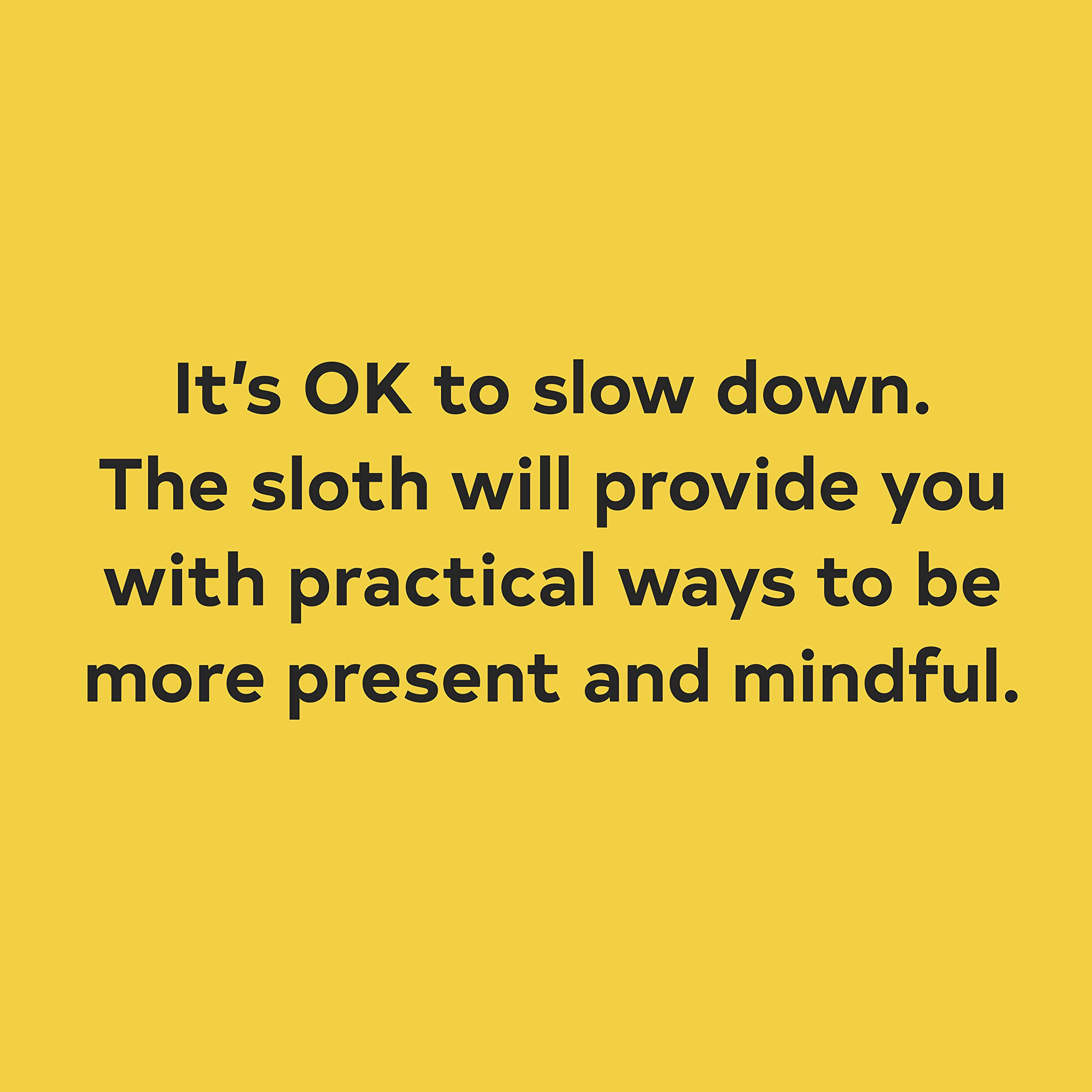 Sloth's Guide to Mindfulness: Spiritual Self-Help Book for Stress Relief & Meditation | Funny Mindfulness Books for Adults | Perfect for Relaxation, Yoga & Daily Inspiration