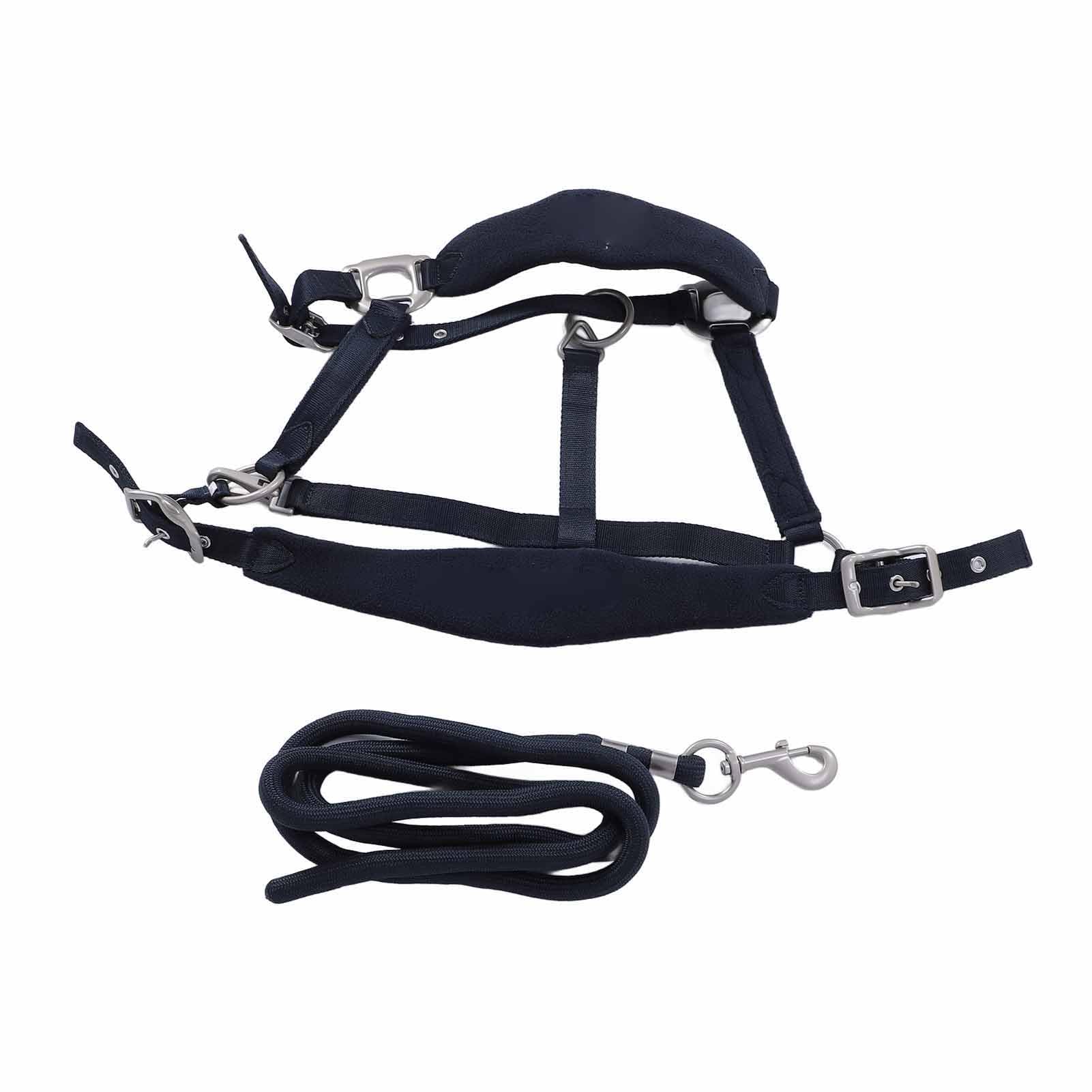 Professional Adjustable Horse Training Halter & Leash - Safe for Daily Use, Size M - Perfect for Equestrian Training, Trail Riding, and Stable Management