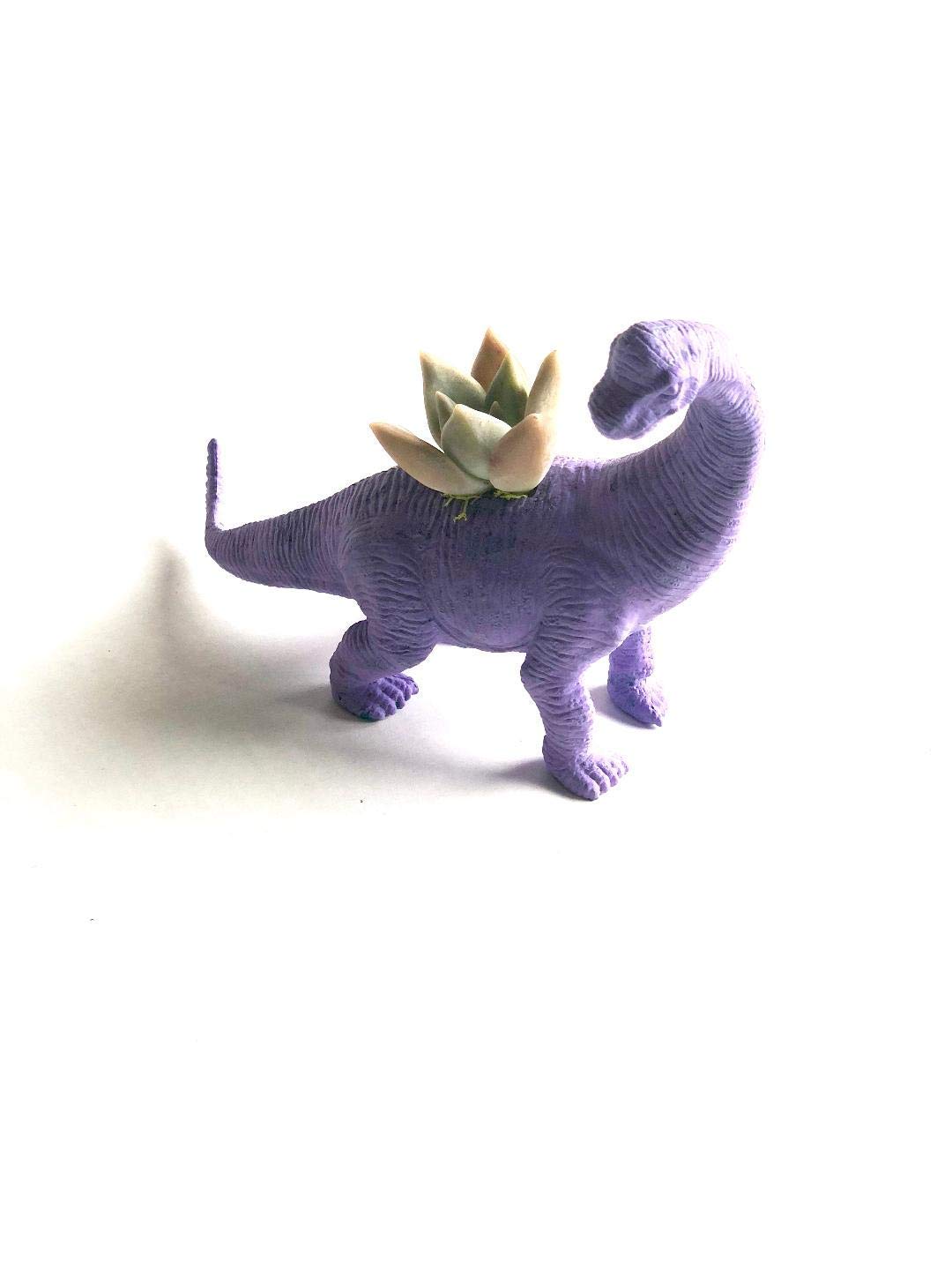 Dinosaur Terrarium Planter - Mini Succulent Planter with Dinosaurs for Home & Office Decor | Perfect for DIY Fairy Garden, Kids Room, and Desk Decorations