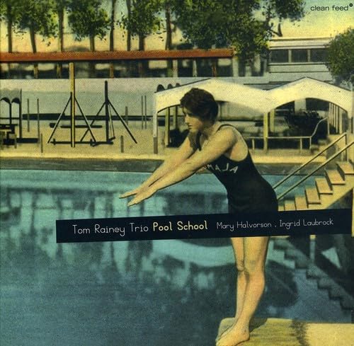 Pool School - Professional Swimming Pool Maintenance & Care Guide | Learn Pool Cleaning, Chemical Balancing & Equipment Tips for Homeowners