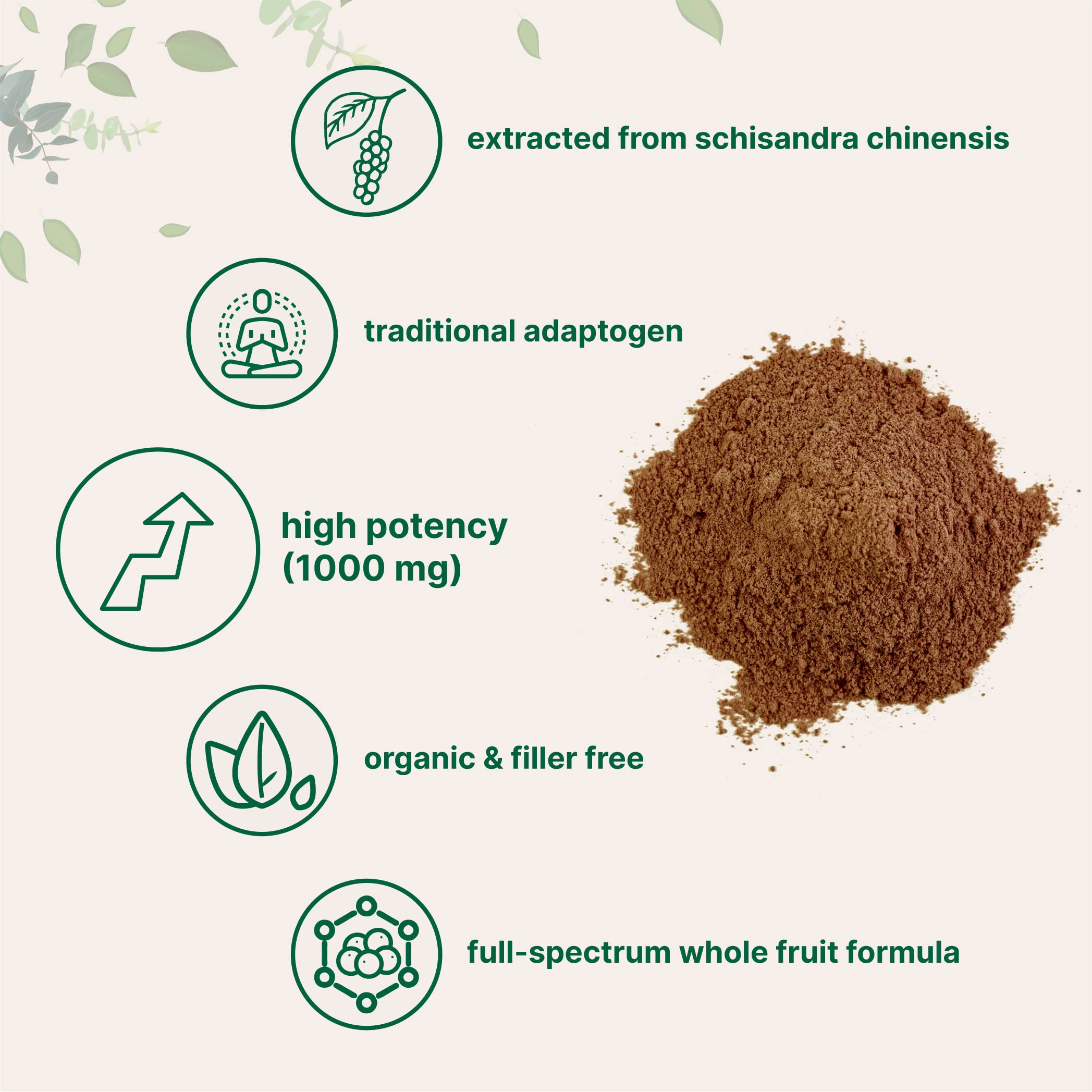 Organic Schisandra Extract Powder - 8oz Pure Adaptogen Supplement for Liver Detox & Brain Health | Non-GMO, Filler-Free | Boost Energy & Focus for Workouts, Study & Stress Relief