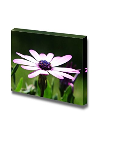 Flower Landscape
