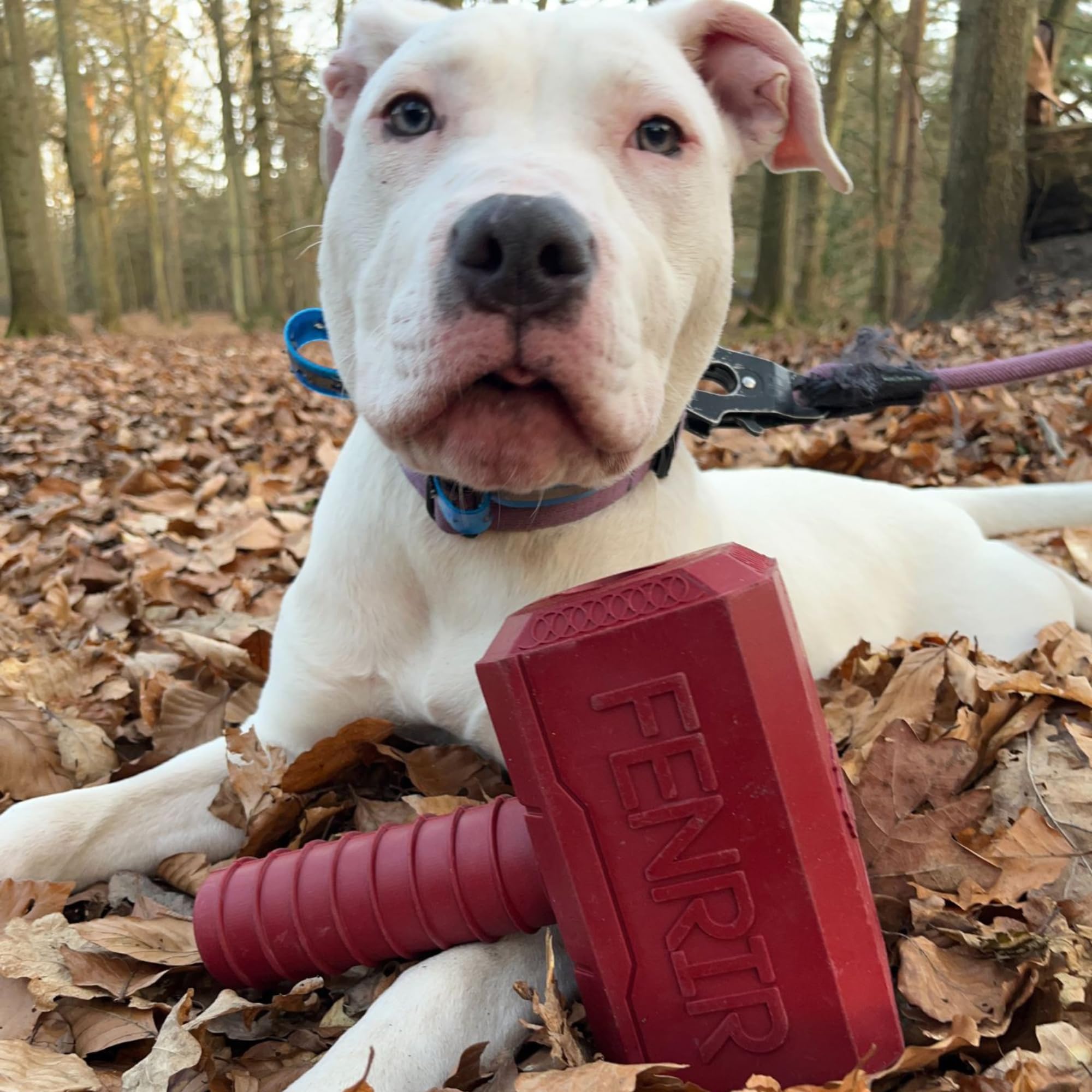 Fenrir Hammer Chew Toy for Large Dogs - Durable Red Rubber Chew Toy for Aggressive Chewers - Perfect for Teething Puppies & Stress Relief