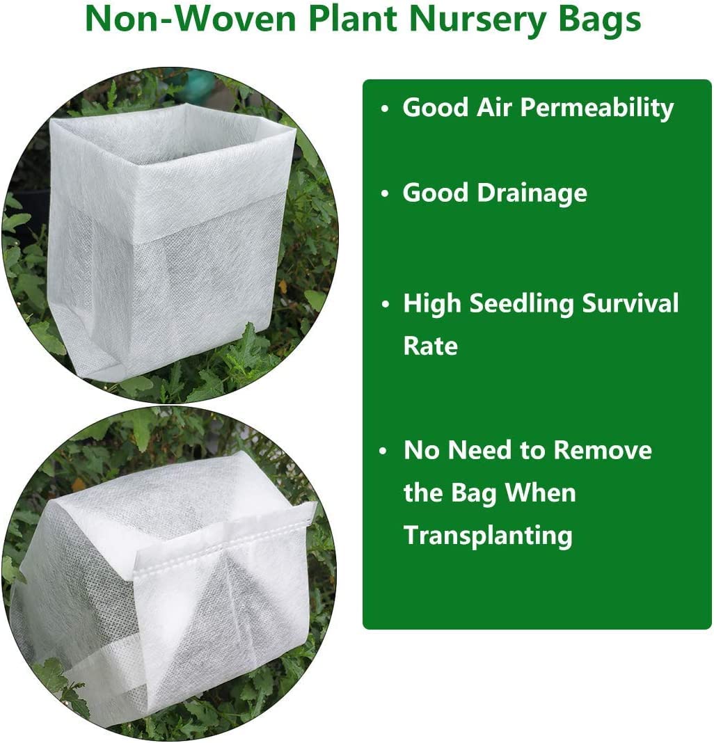 Peachy Knock Out® Rose Live Plant - 1 QT Pot - Beautiful Blooming Shrub for Garden Landscaping & Outdoor Decor