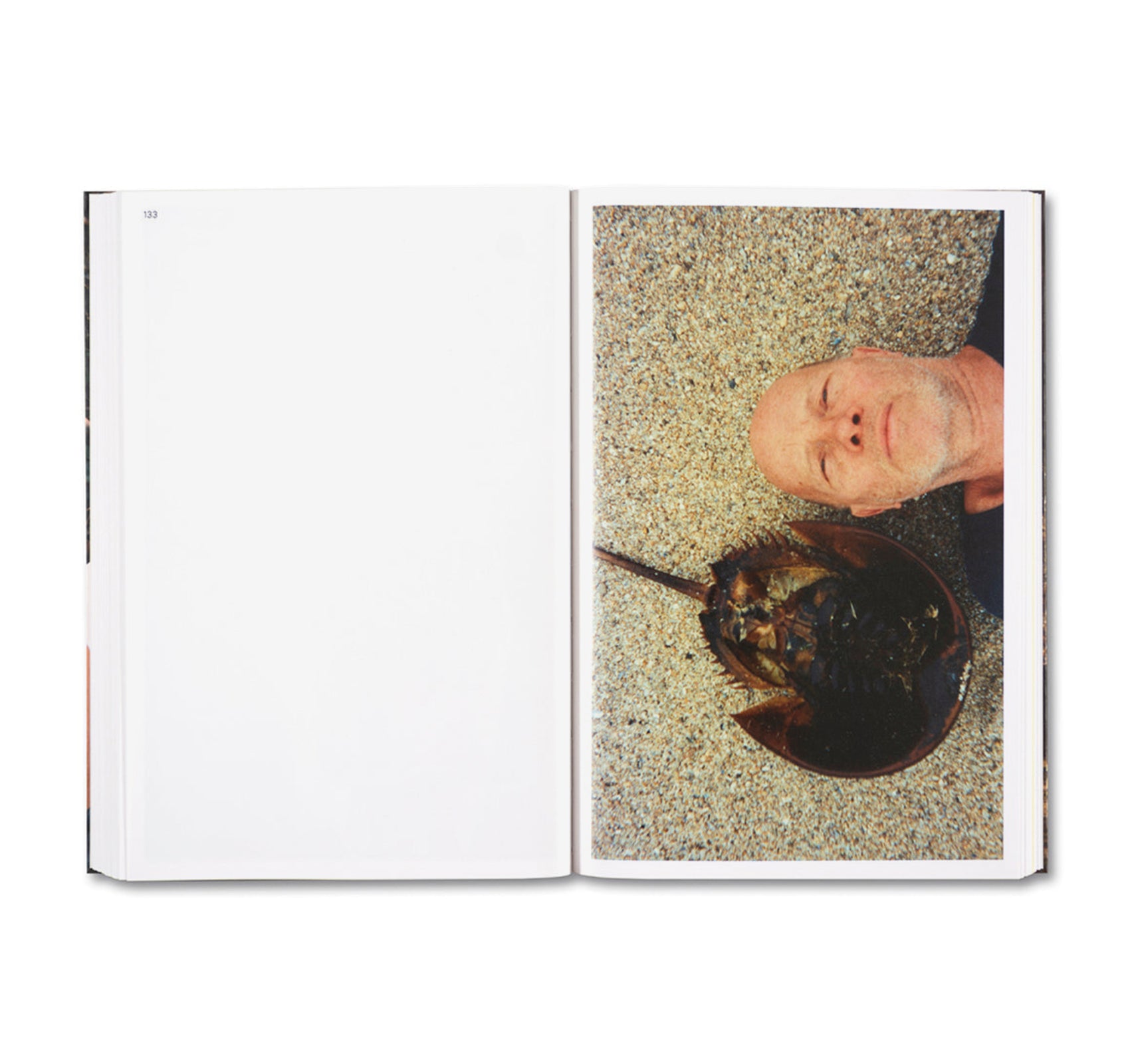 Ray Johnson Photographs Book - Rare Art Photography Collection by Ray Johnson | Perfect for Art Lovers, Collectors & Photography Enthusiasts
