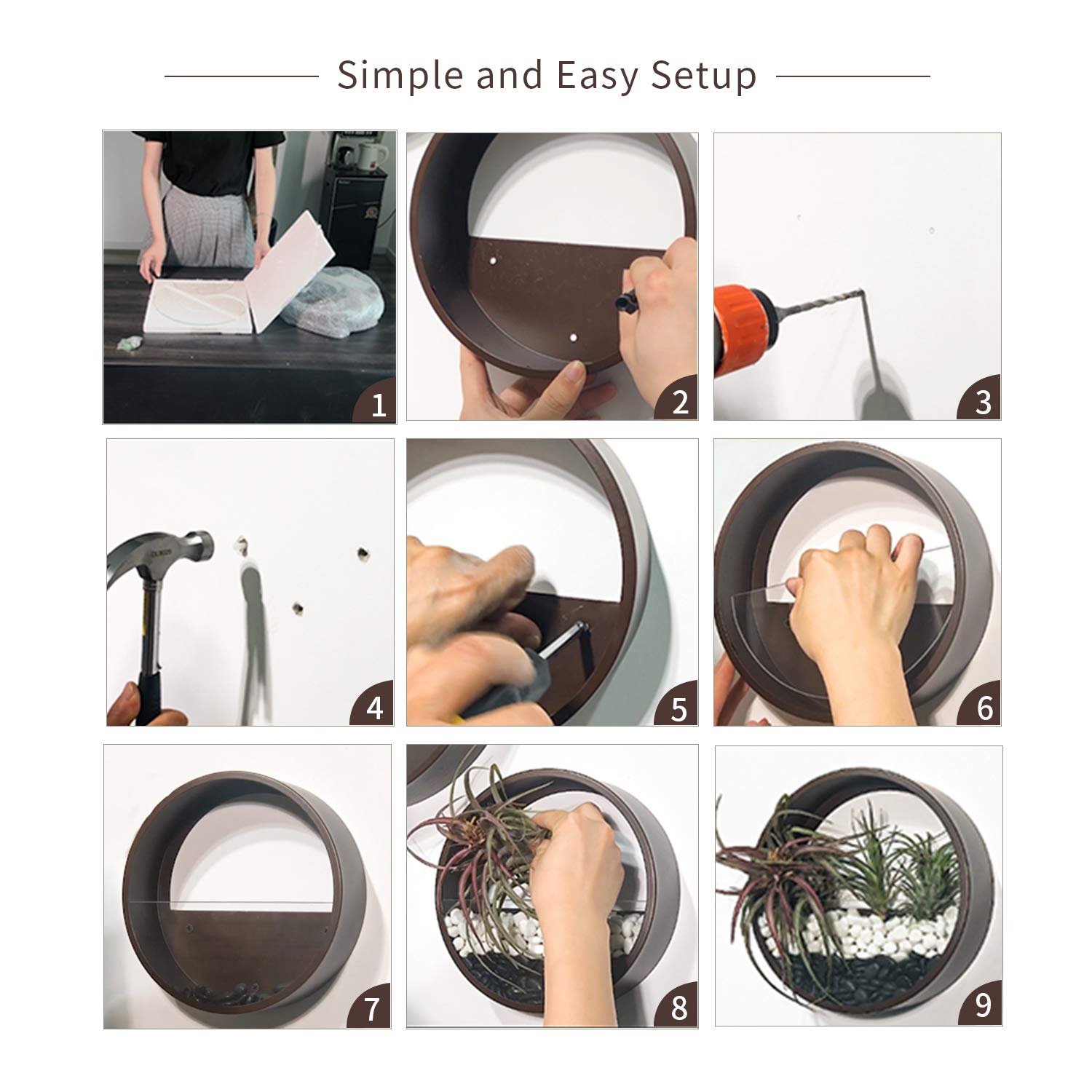 Ecosides 6
