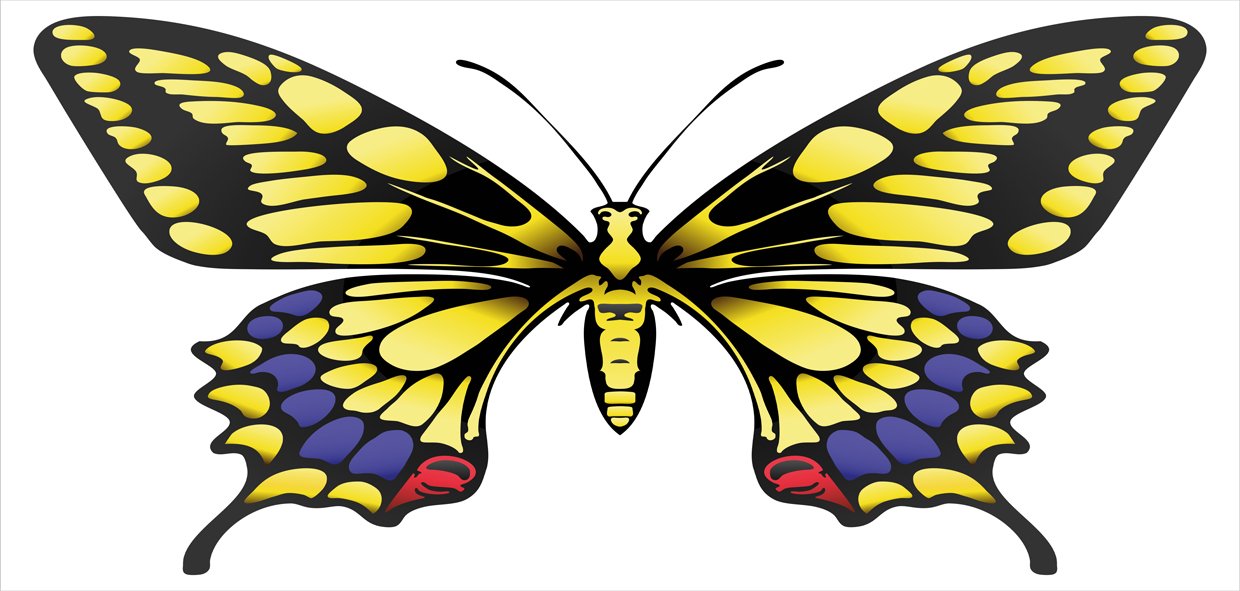 Ambesonne Butterfly Mug - Yellow Black Purple Ceramic Cup for Coffee & Tea - Home & Office Use