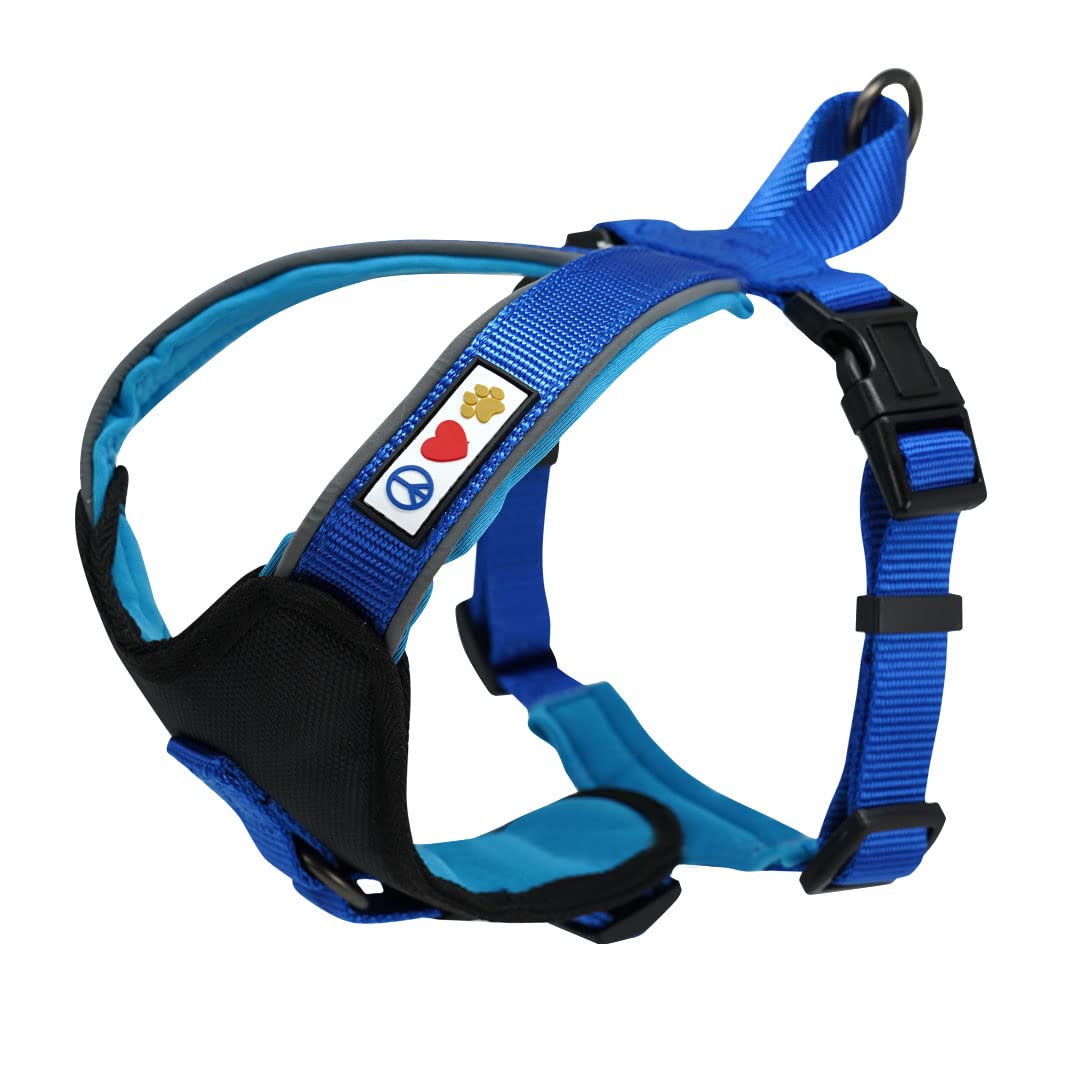 Pawtitas Reflective Dog Harness - Padded & Comfortable Pet Vest for Walking, Running & Outdoor Adventures - Medium Size in Blue - Perfect for Nighttime Safety & Daily Dog Activities