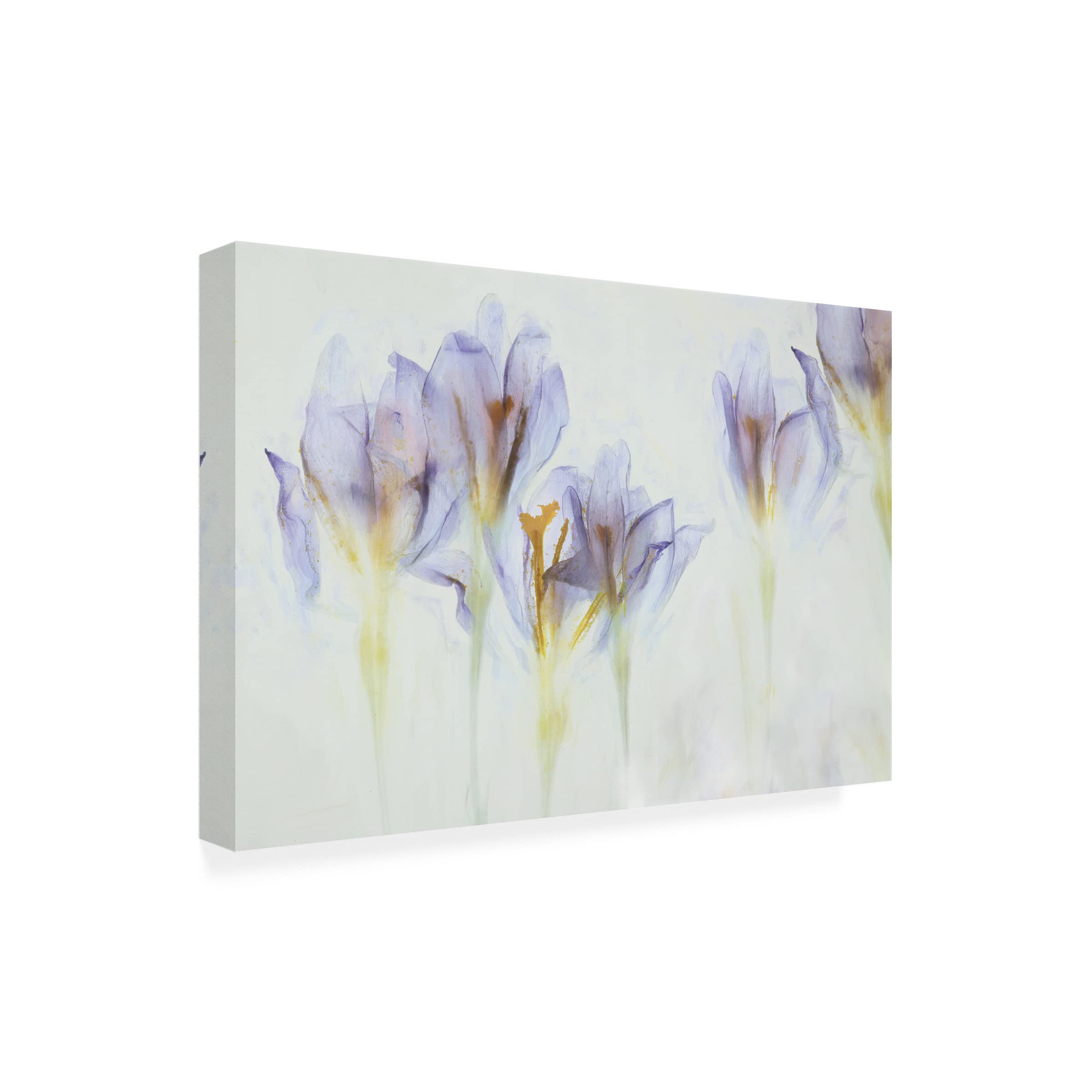Trademark Fine Art 'Spring' Canvas Wall Art by Nel Talen - Vibrant Floral Painting for Living Room, Bedroom & Office Decor