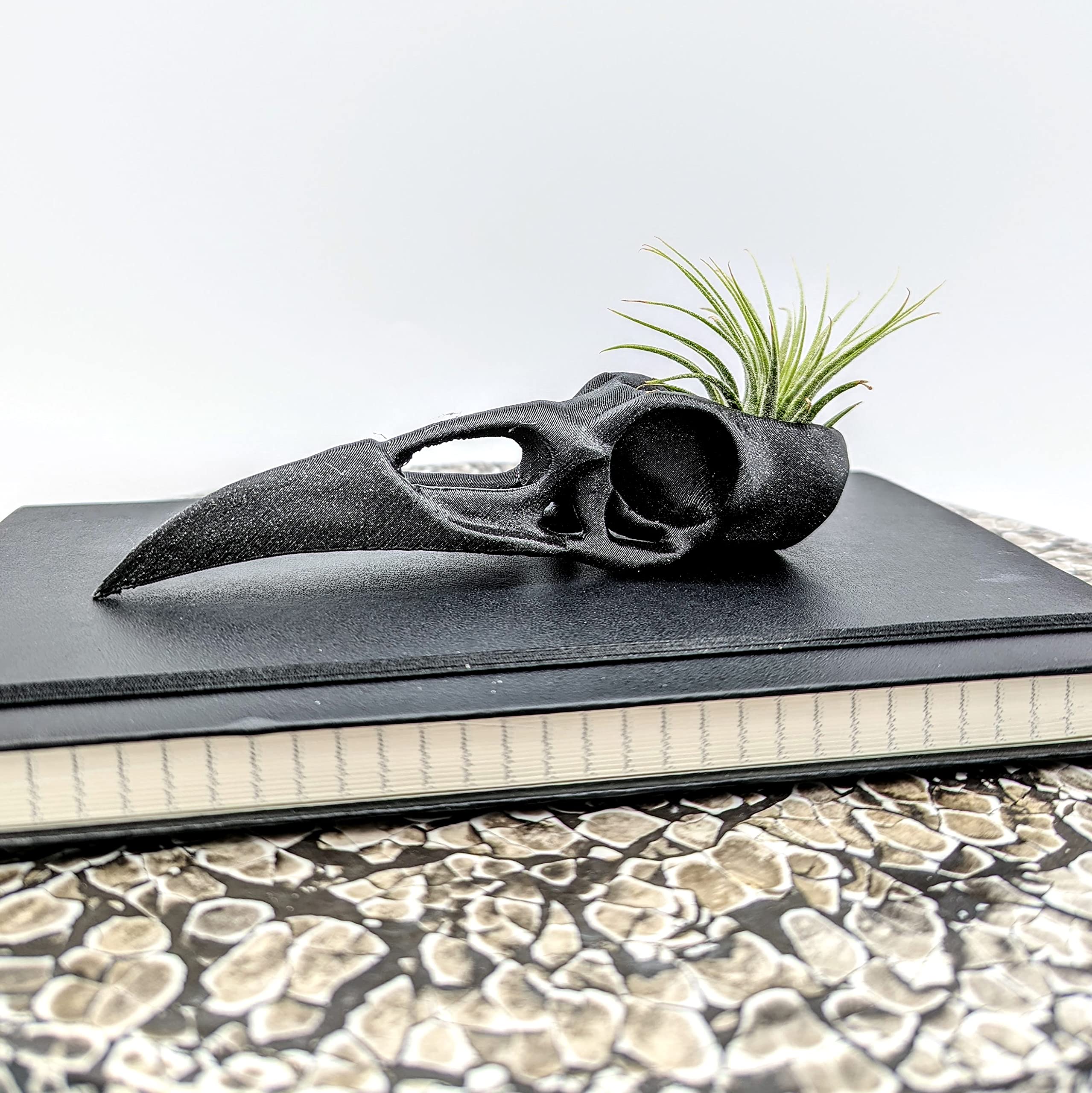 Gothic Raven Skull Air Plant Holder - Handmade Bird Skull Planter for Home Decor - Unique Crow Art Sculpture & Halloween Spooky Plant Pot - Perfect for Gothic Decor, Witchy Aesthetics & Indoor Succulent Displays