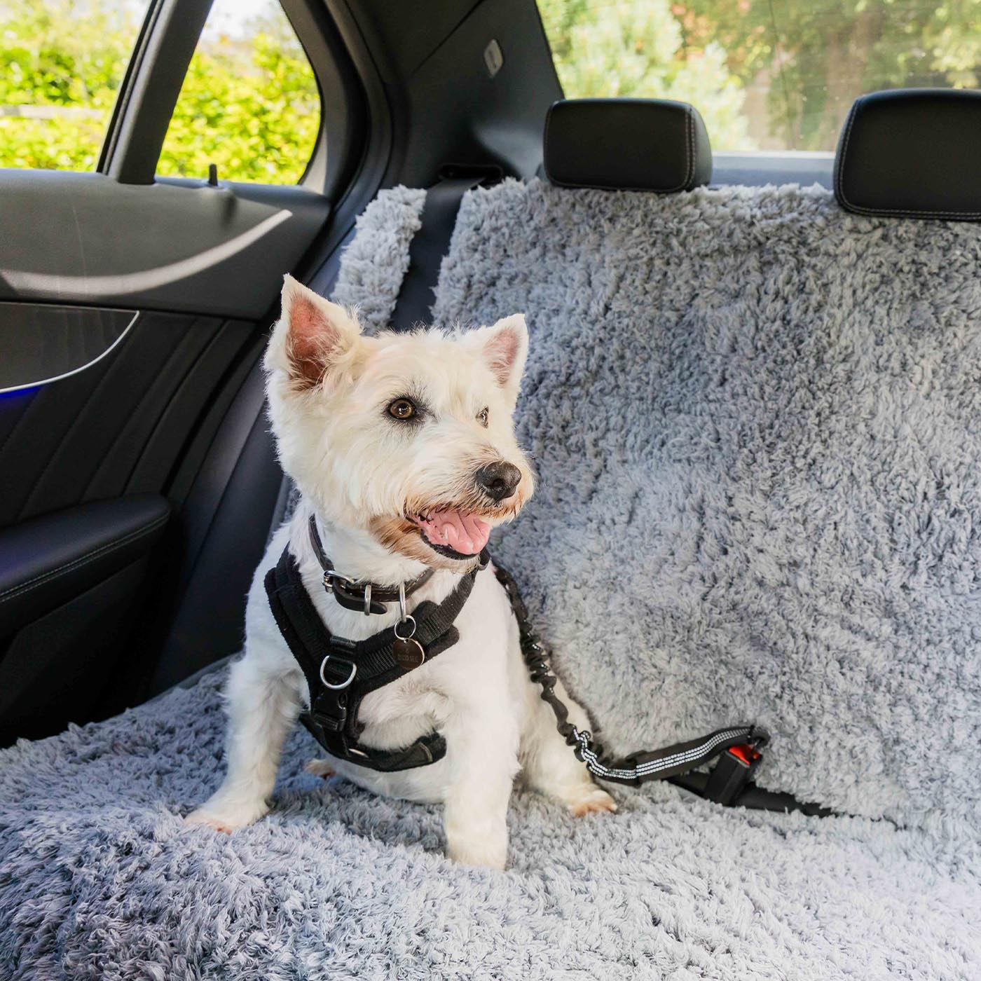 Pet Rebellion Universal Back Car Seat Cover - Waterproof & Nonslip Dog Seat Protector for Cars, SUVs, Trucks - Perfect for Travel, Road Trips & Pet Safety