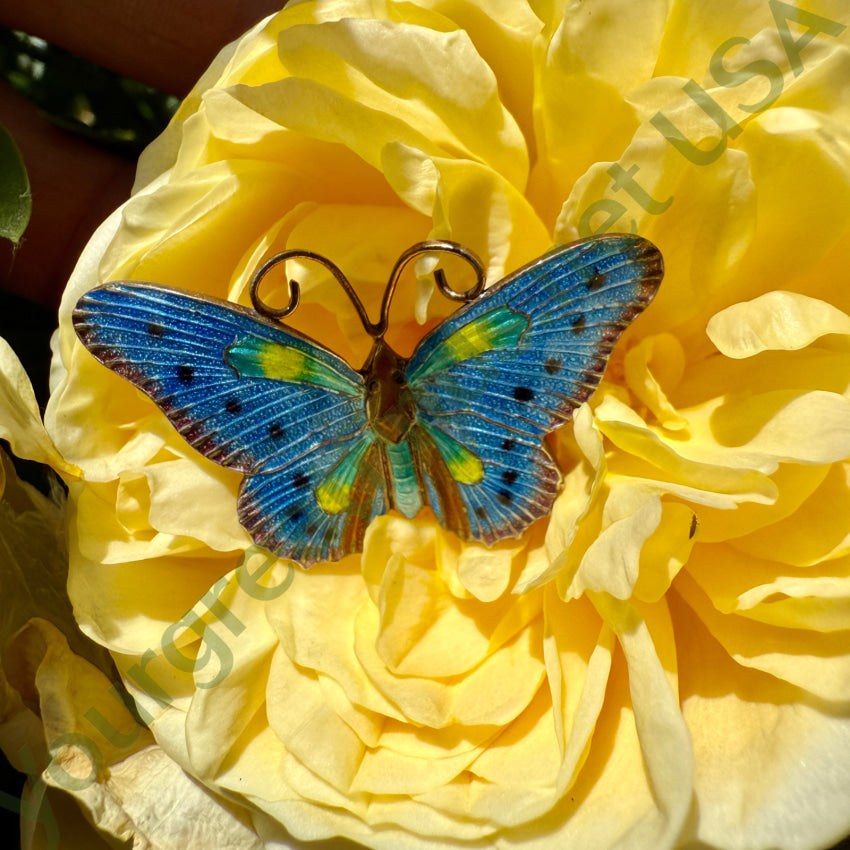 Vintage Gold Washed Guilloched Enamel Butterfly Brooch Pin - S925 Sterling Silver Jewelry for Women - Perfect for Weddings, Parties & Gift Giving