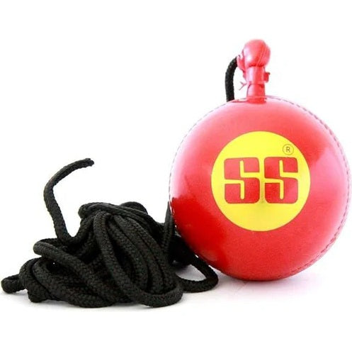 Premium SS Hanging Cricket Ball with Reaction String - Professional Bat Knocking & Practice Training Ball (Embossed Seam) - Perfect for Cricket Nets, Backyard Practice & Coaching Sessions