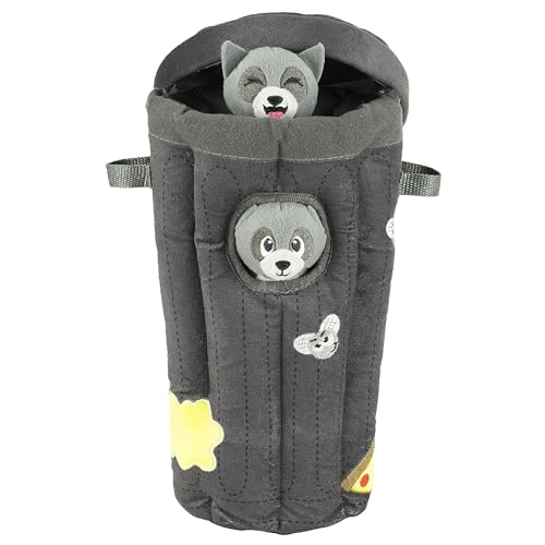 Raccoon