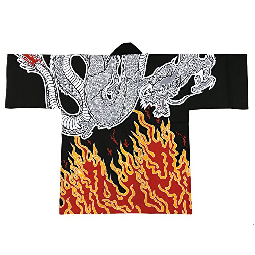 Dragon and Fire(6485)