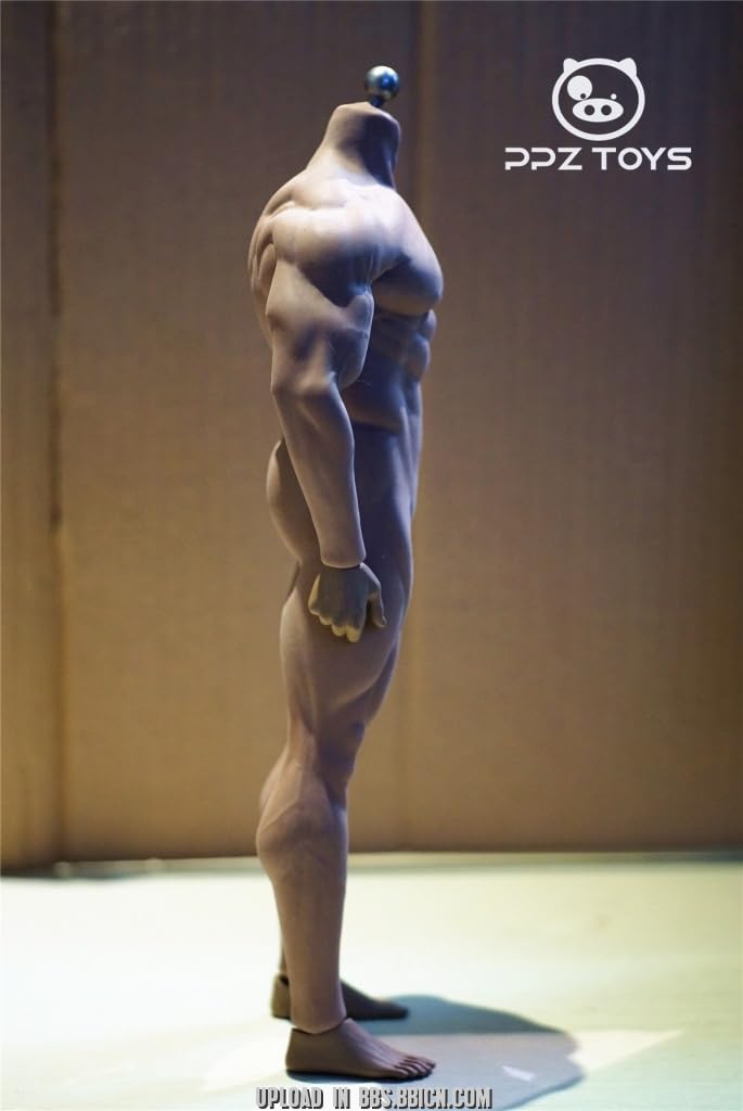 TBLeague 1/6 Scale Male Muscular Seamless Body Super Flexible Action Figure PL2016-M34 - Perfect for Collectors, Photography & Diorama Displays