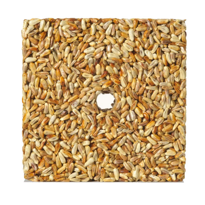 Premium Golden Safflower Feast Blocks for Birds - 3 Pack | Nutritious Wild Bird Food Treat | Perfect for Backyard Feeders & Garden Bird Watching