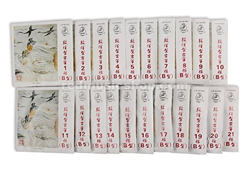 Dunhuang Nylon Guzheng Strings - Type B (1 Set, #21) | Professional Chinese Zither Accessories for Performances & Practice