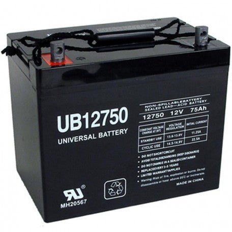 12V 75Ah Group Size 24 Car Battery (45822) - Reliable Power for Vehicles, Boats, RVs & Solar Systems