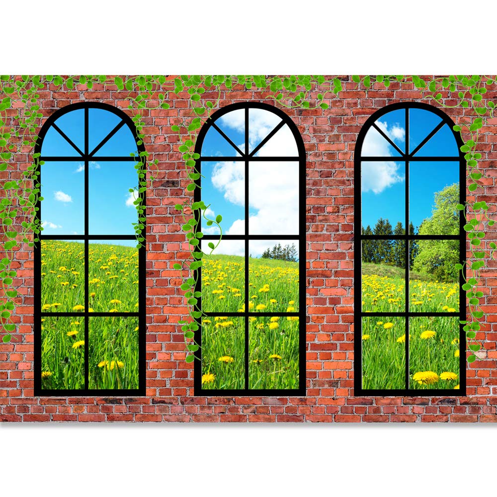 French Window Design Removable Wallpaper - Peel and Stick Wall Murals for Bedroom (66x96 inches) | Easy DIY Home Decor for Living Room, Nursery & Office