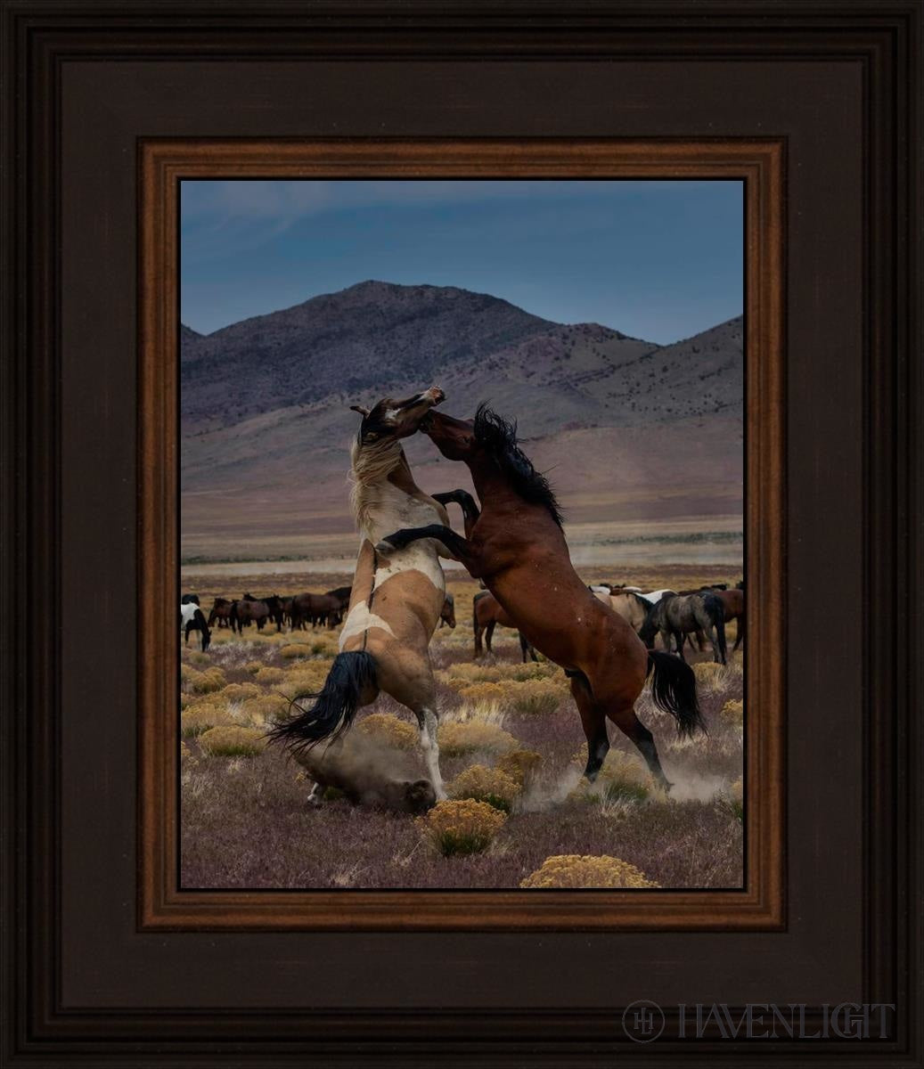 Desert Duel 1 by Greg Sargent - Western Adventure Novel for Adults | Perfect for Book Clubs, Gifts & Western Fiction Fans