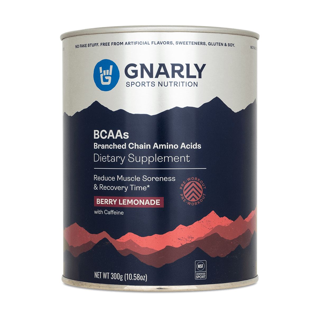 Best Vegan BCAA Powder for Muscle Recovery & Endurance - Plant-Based Branched Chain Amino Acids Supplement for Athletes & Fitness Enthusiasts - Pre & Post Workout, Gym & Sports Nutrition