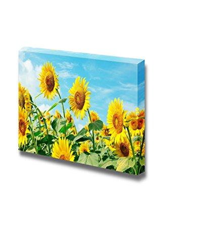 Sunflower Field