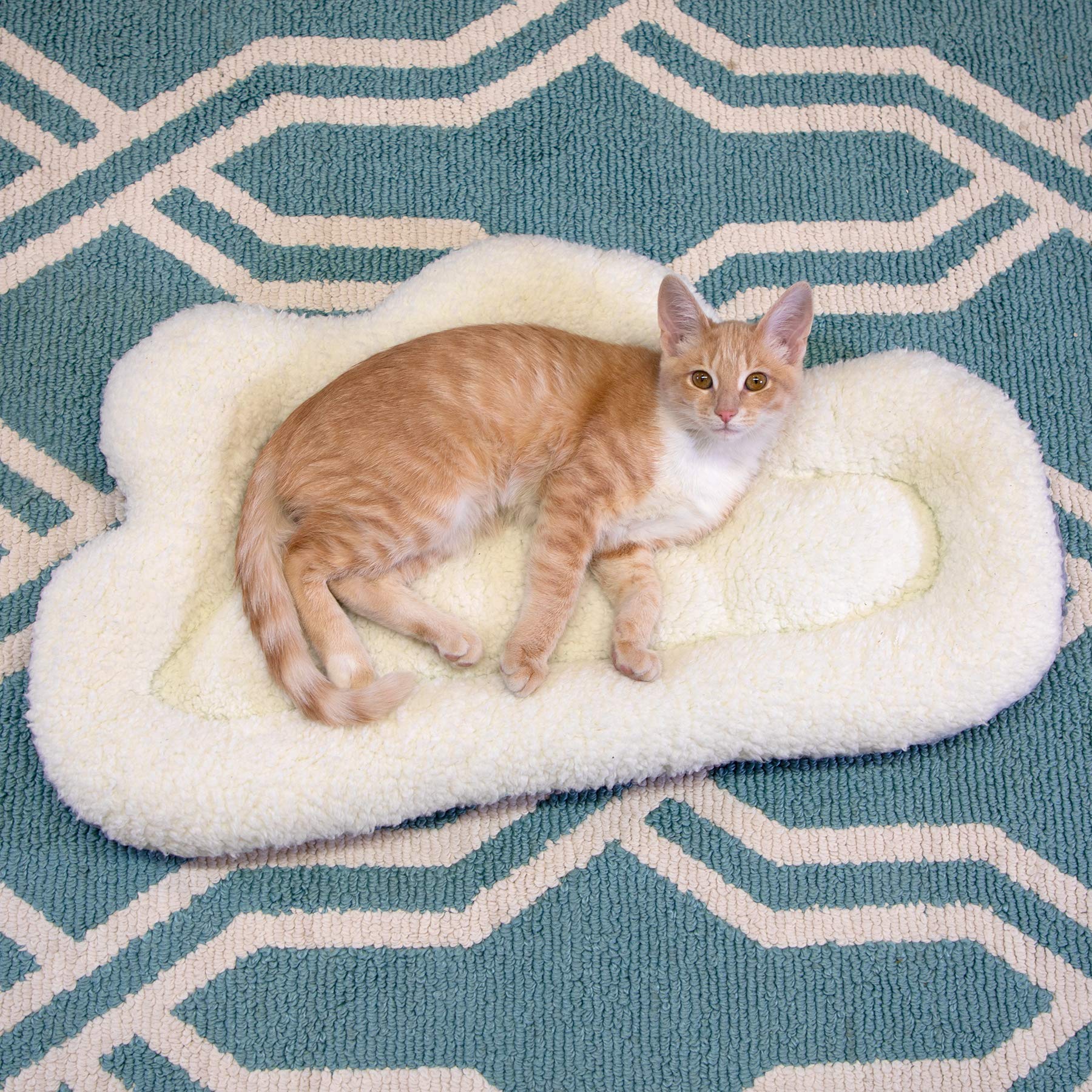Cozy Kitty City Cat Bed - Soft Plush Cat House, Sofa Bed & Rope Hammock for Indoor Cats - Perfect for Living Room, Bedroom or Window Relaxation