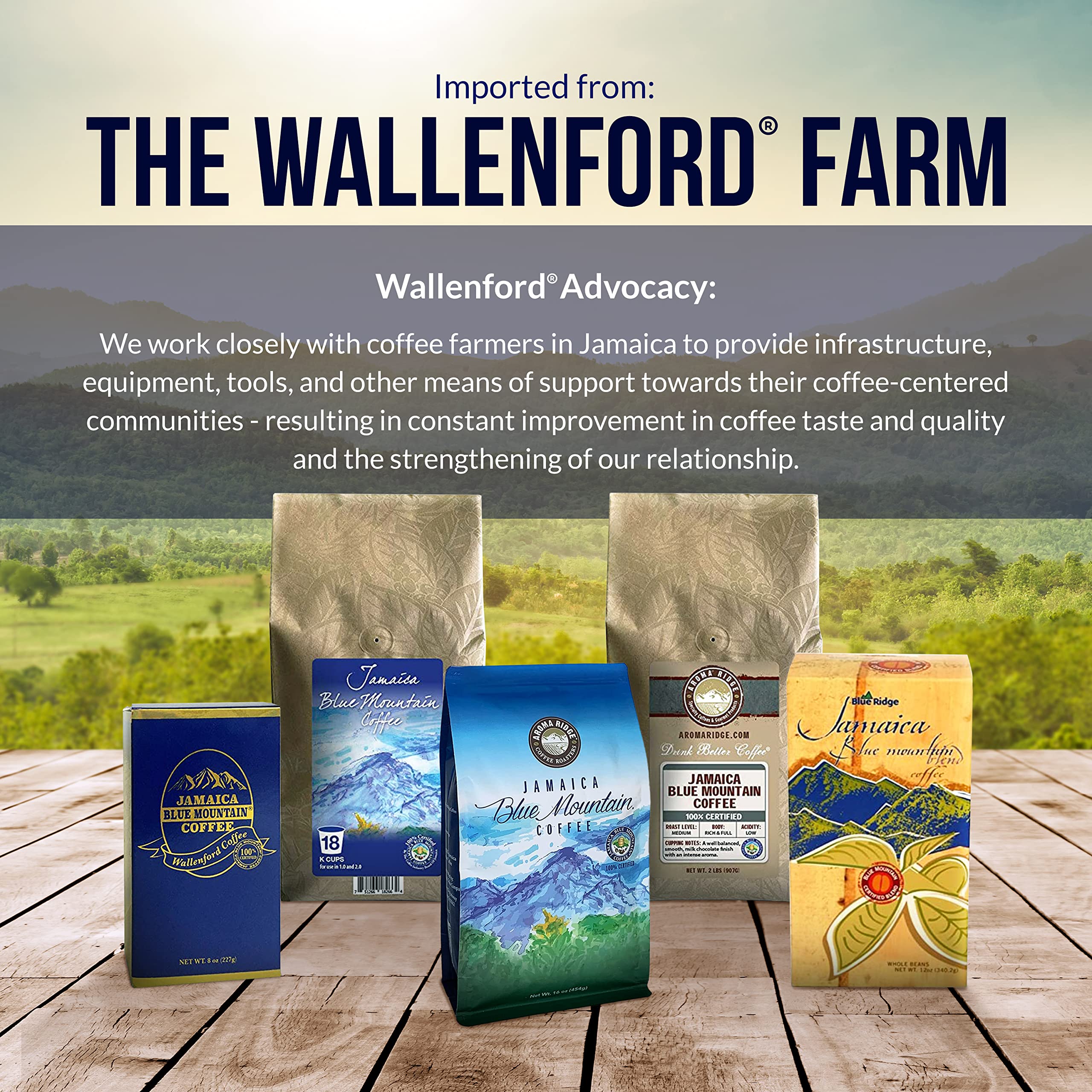 Premium Jamaica Blue Mountain Ground Coffee - 1 LB Medium Roast, 100% Authentic Wallenford Certified | Grade 01 with Smooth Milk Chocolate Finish | Perfect for Home Brewing, Office Use & Gourmet Gifts | Aroma Ridge Specialty Coffee