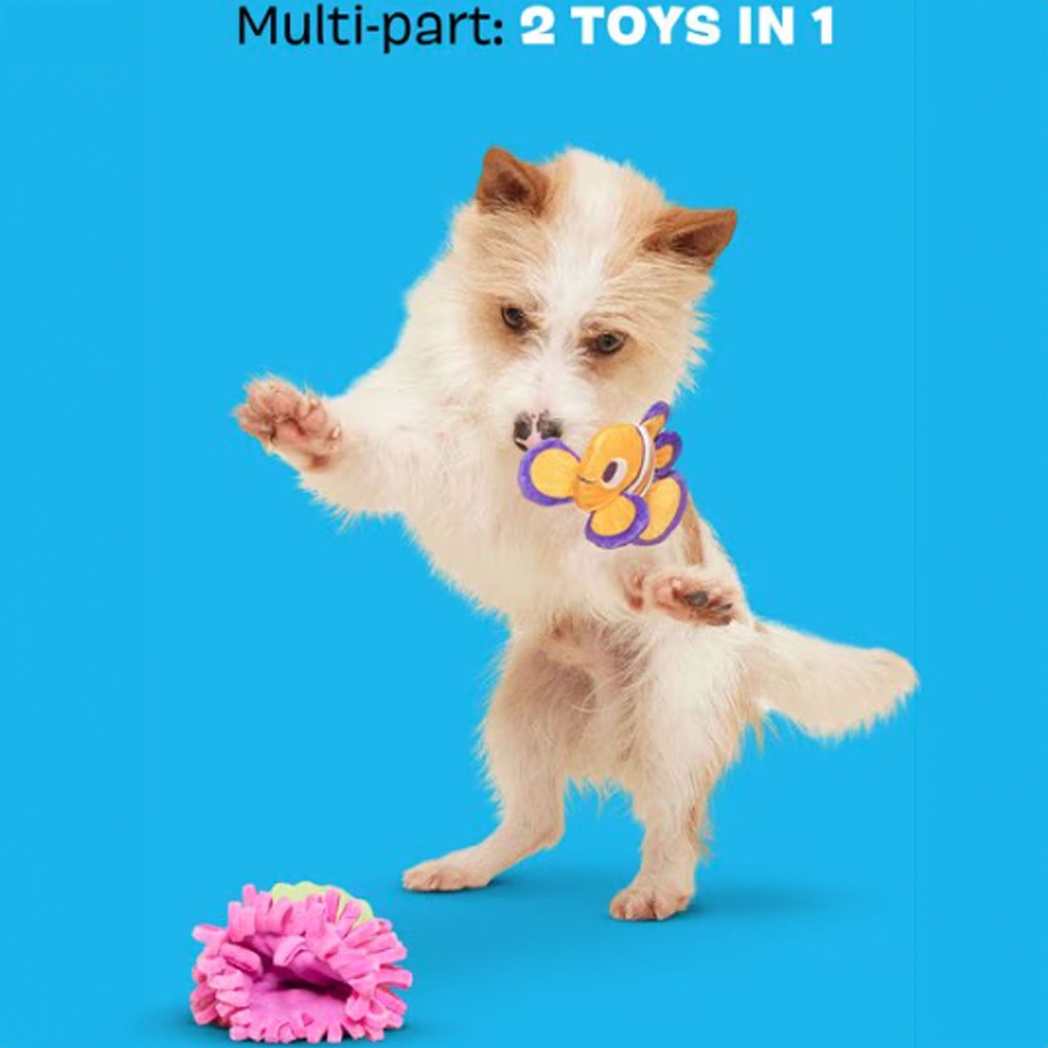 Bark Clown Fishing Around Interactive Dog Toy - Fun Chew Toy for Small & Medium Dogs - Perfect for Playtime, Training & Teething Relief