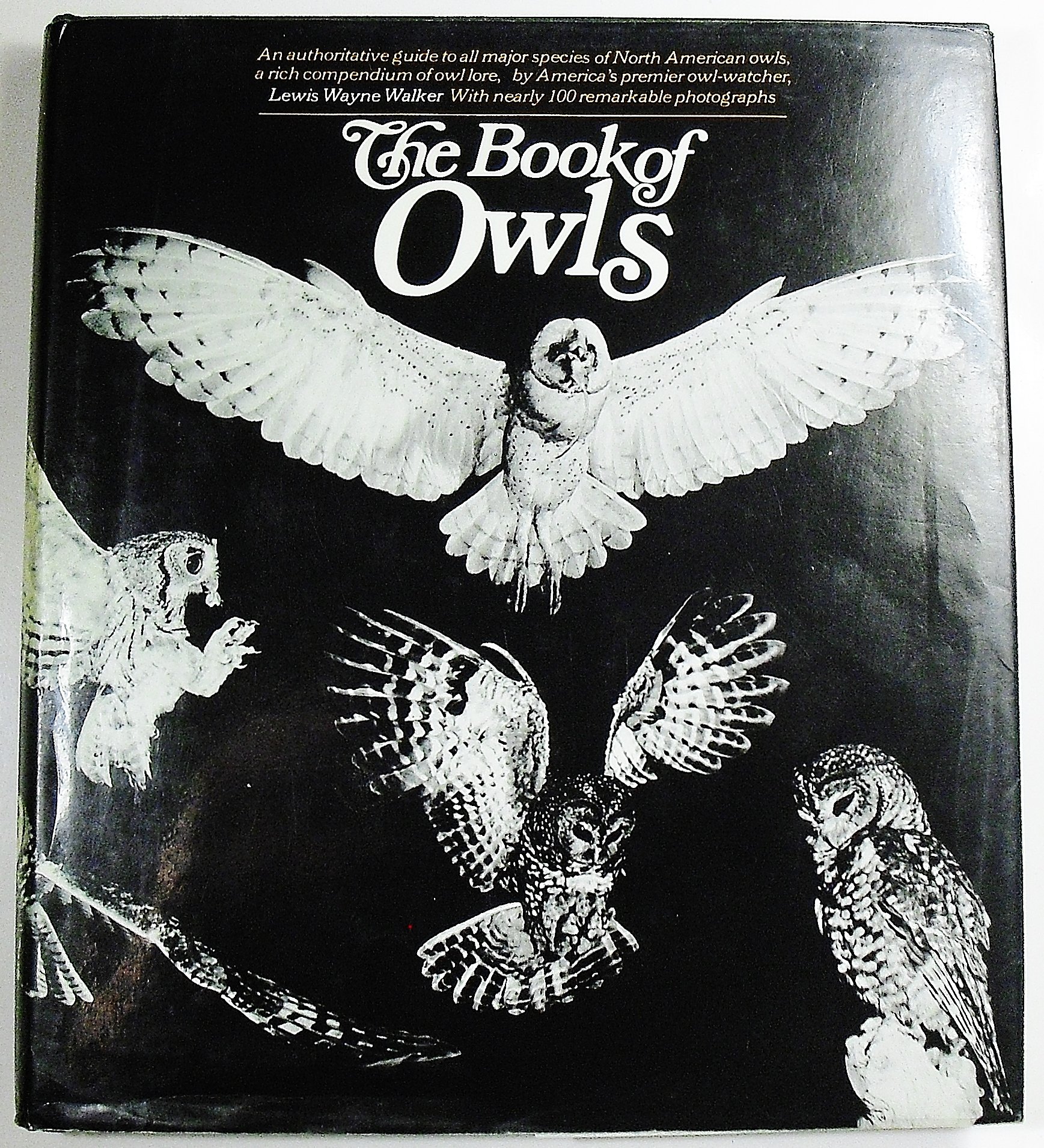 The Book of Owls: A Comprehensive Guide to Owl Species, Habitats & Behaviors – Perfect for Birdwatchers, Nature Enthusiasts & Wildlife Educators