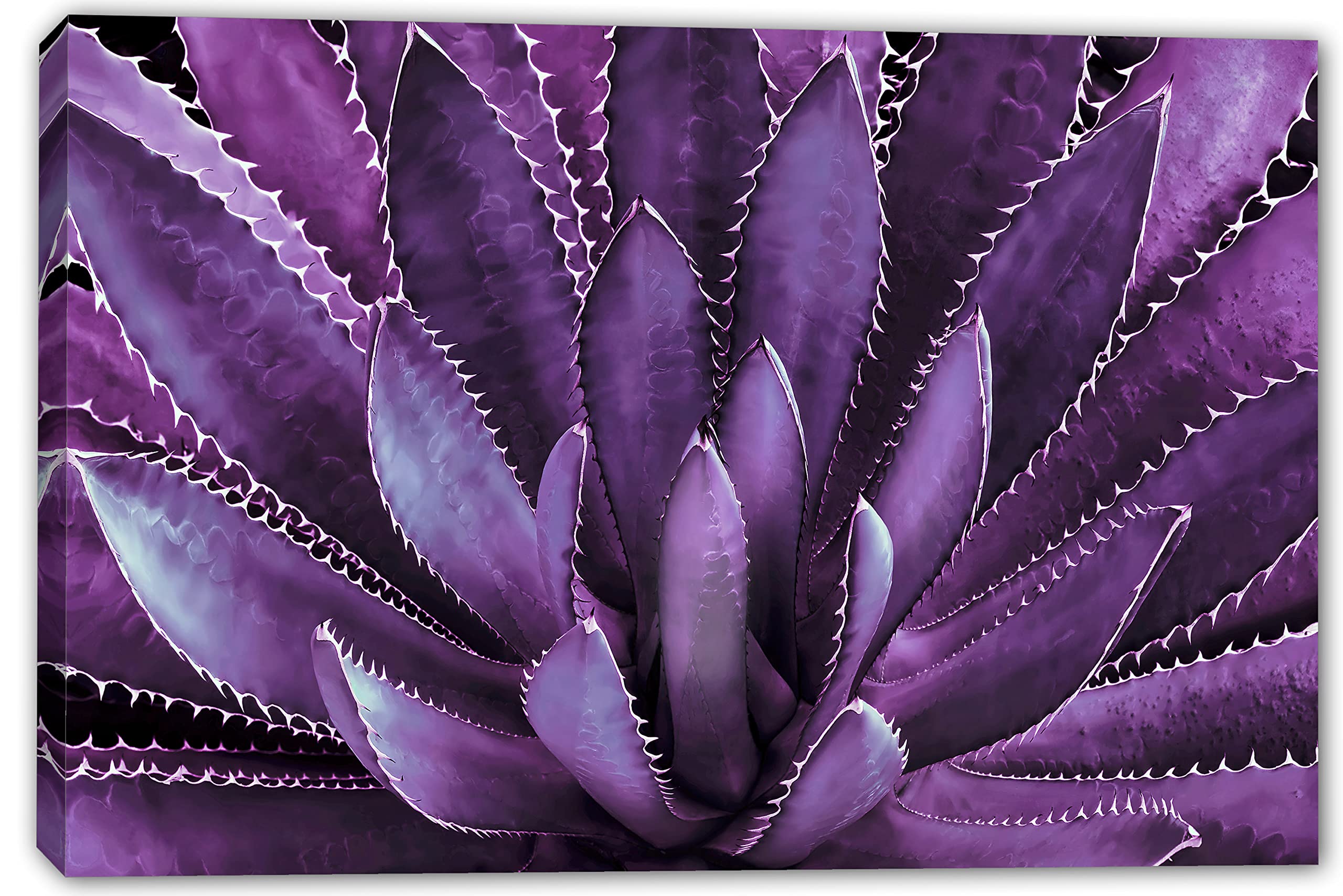30x20 Agave Plant Canvas Print Wall Art - Lavender Botanical Decor, Tequilana Plant Artwork for Home, Office & Living Room Decor