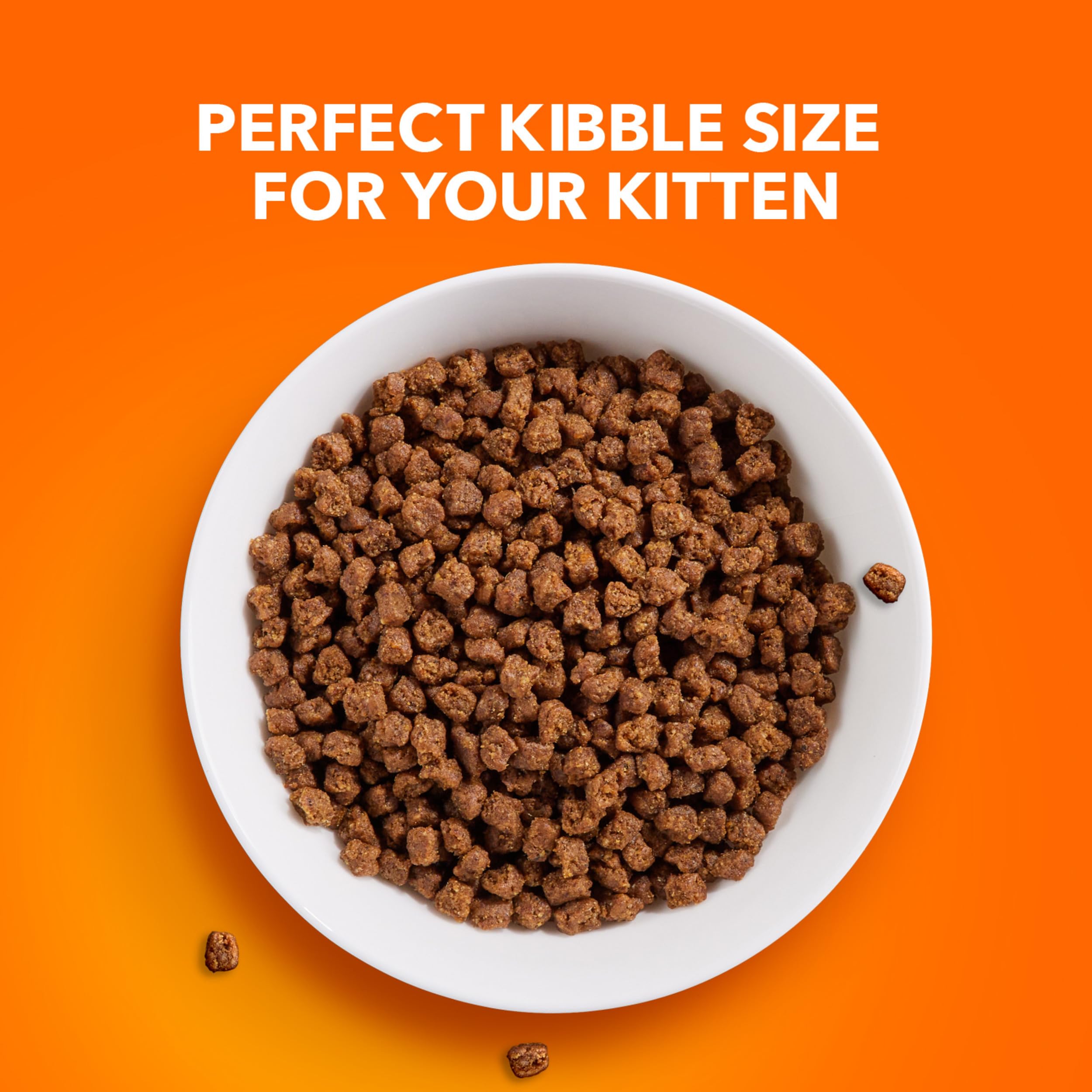 IAMS PROACTIVE HEALTH Dry Cat Food for Kittens - Chicken Recipe, 7 lb Bag - Supports Immune System & Healthy Growth - Perfect for Growing Kittens at Home