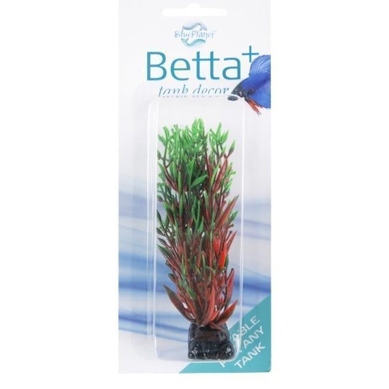 Blue Planet Betta+ Mini Aquarium Plants (10cm) - Green & Red Live Aquatic Plants for Betta Fish Tanks, Aquascaping & Nano Aquariums