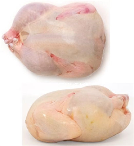 96 Pack 10x16 Inch Poultry Shrink Bags for Chicken, Turkey & Meat - Freezer Safe Vacuum Sealer Bags for Food Storage & Meal Prep