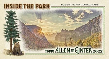 2022 Topps Allen & Ginter Baseball Factory Sealed 24-Pack Retail Box - 144 Trading Cards | MLB Collectibles, Sports Memorabilia | Perfect for Card Collectors, Fantasy Baseball Fans & Gift Giving